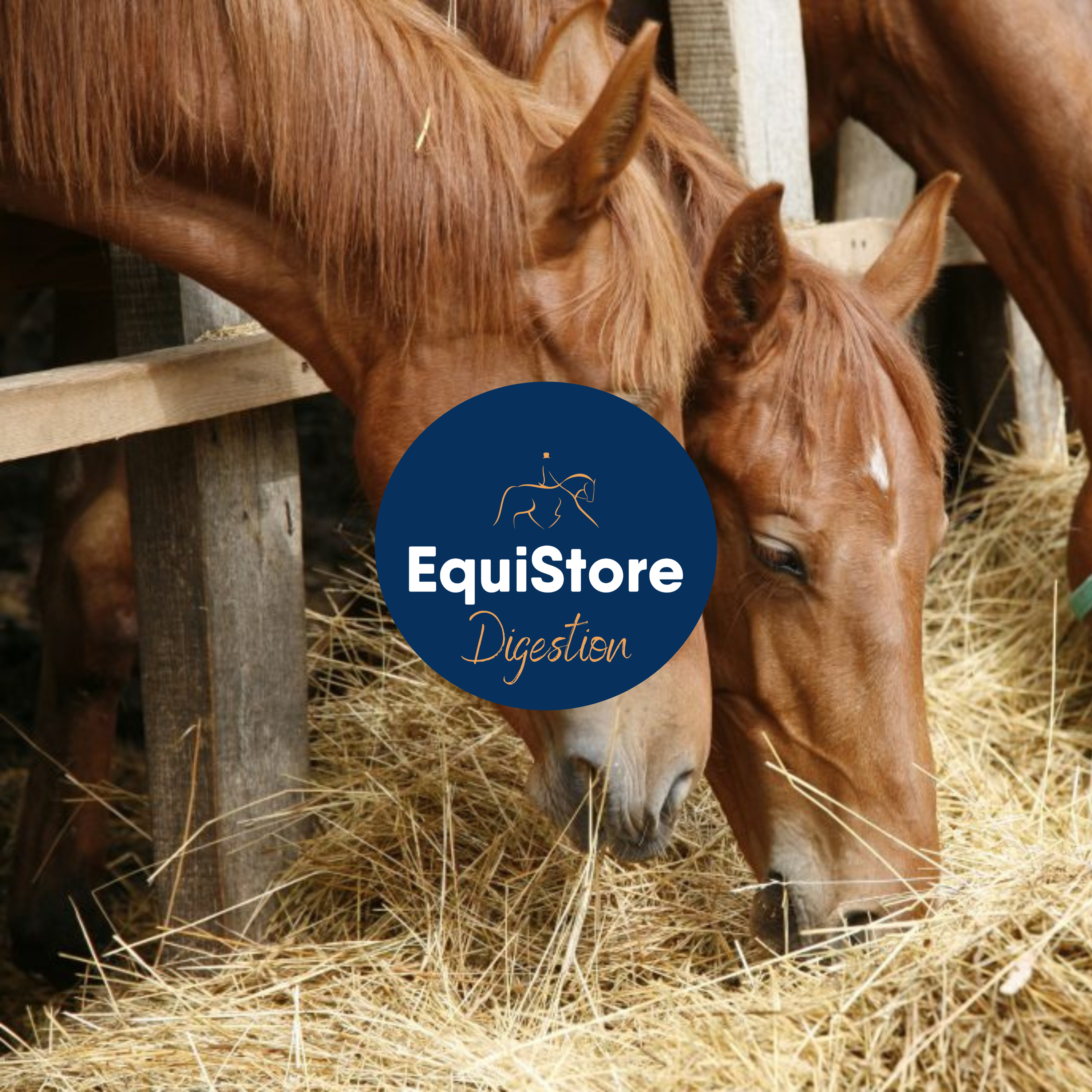 A wide range of equine supplements that support a healthy digestive system. Available in Ireland at Equistore.