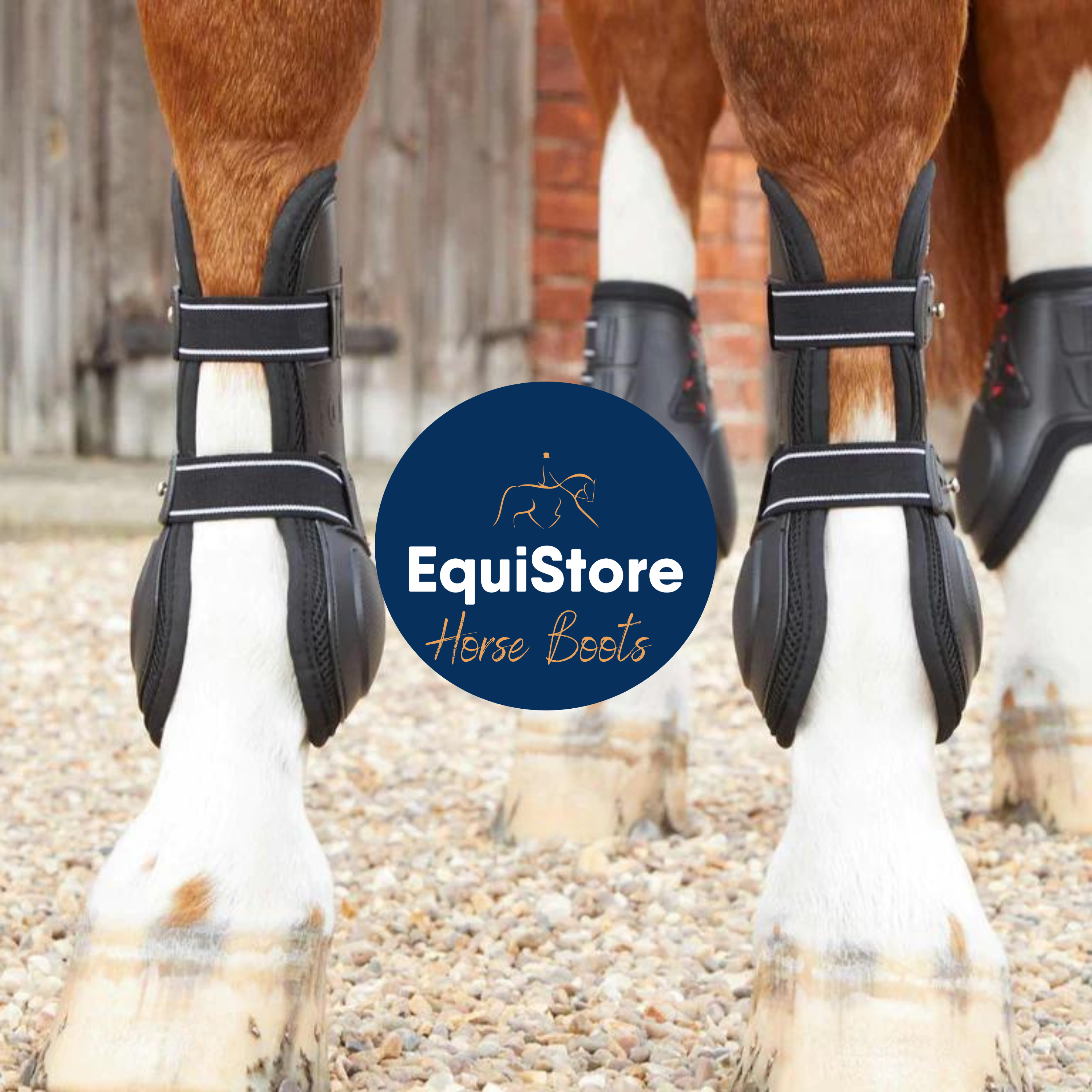 Horse Boots EquiStore