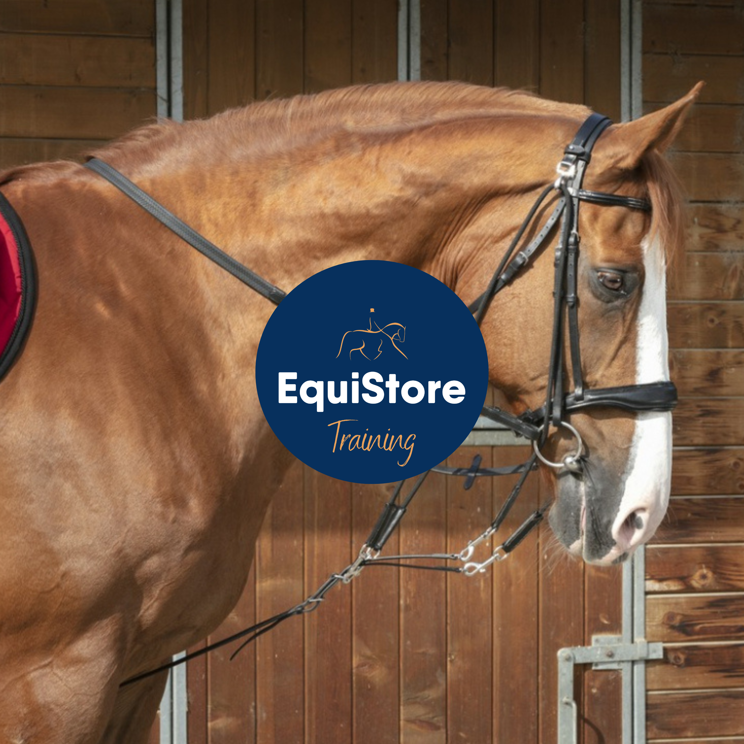 Training aids fro horses and ponies, available in Ireland at EquiStore