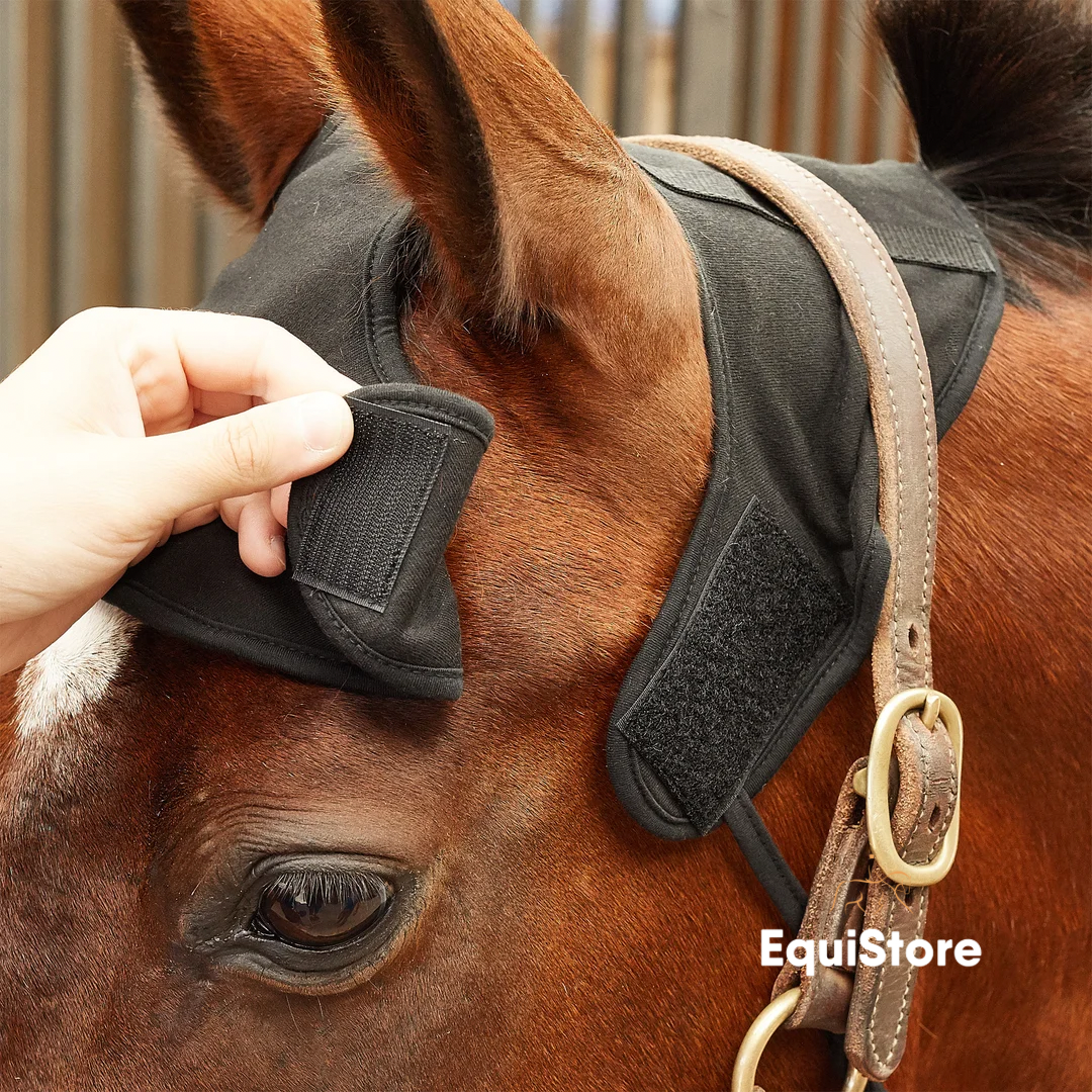 Back On Track - Therapeutic Poll Cap for horses