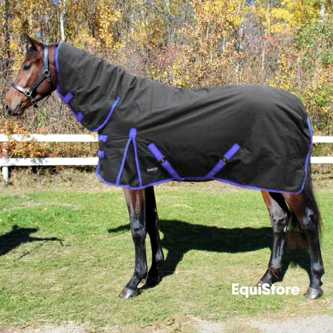 Celtic Equine Grizzly turnout Rug for horses - Full Neck 250g