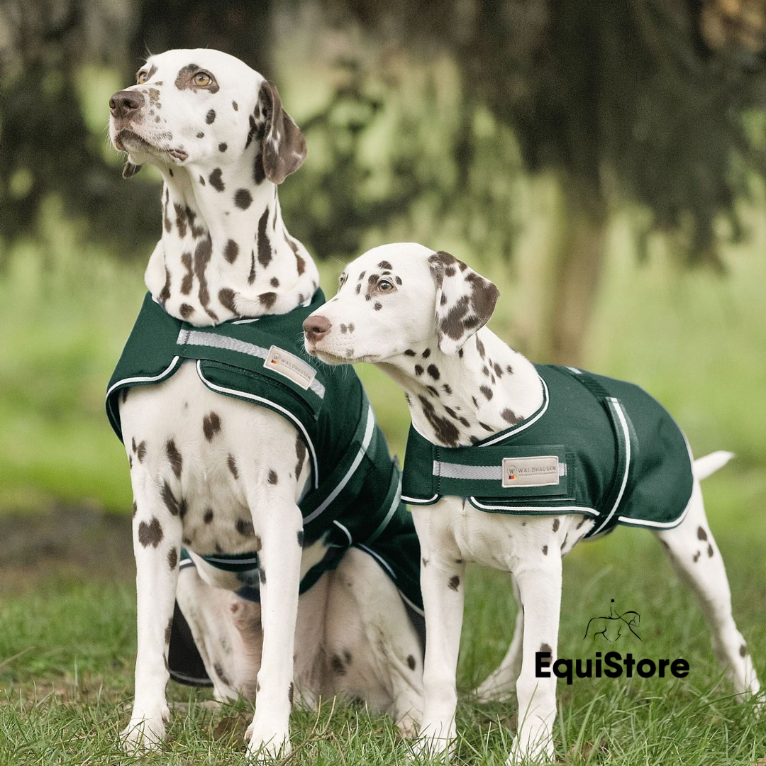 Waldhausen Dog Raincoat Fir Green