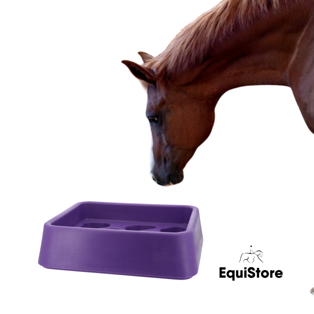 Hippotonic Anti-Gorging Feeder for horses