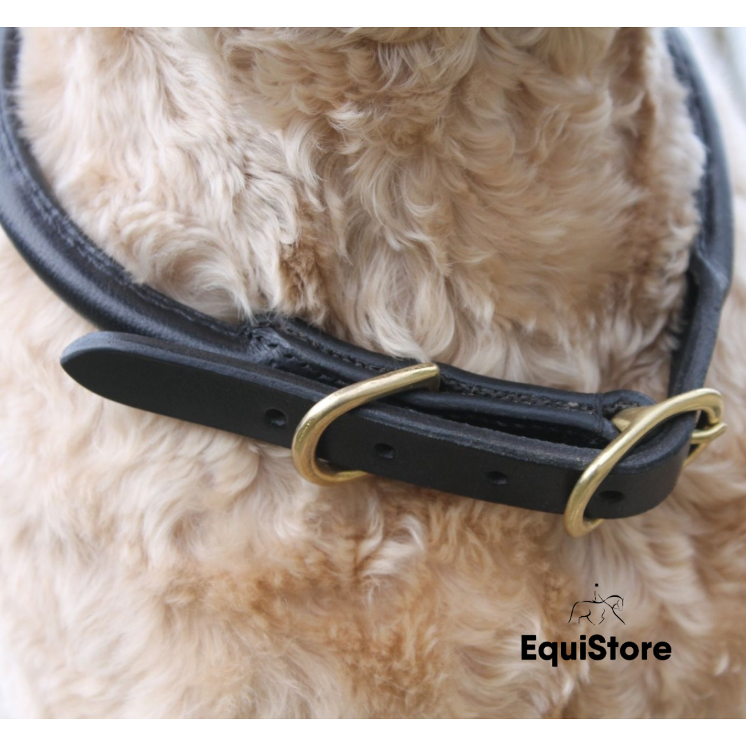 Mackey Rolled Leather Dog Collar - Brown