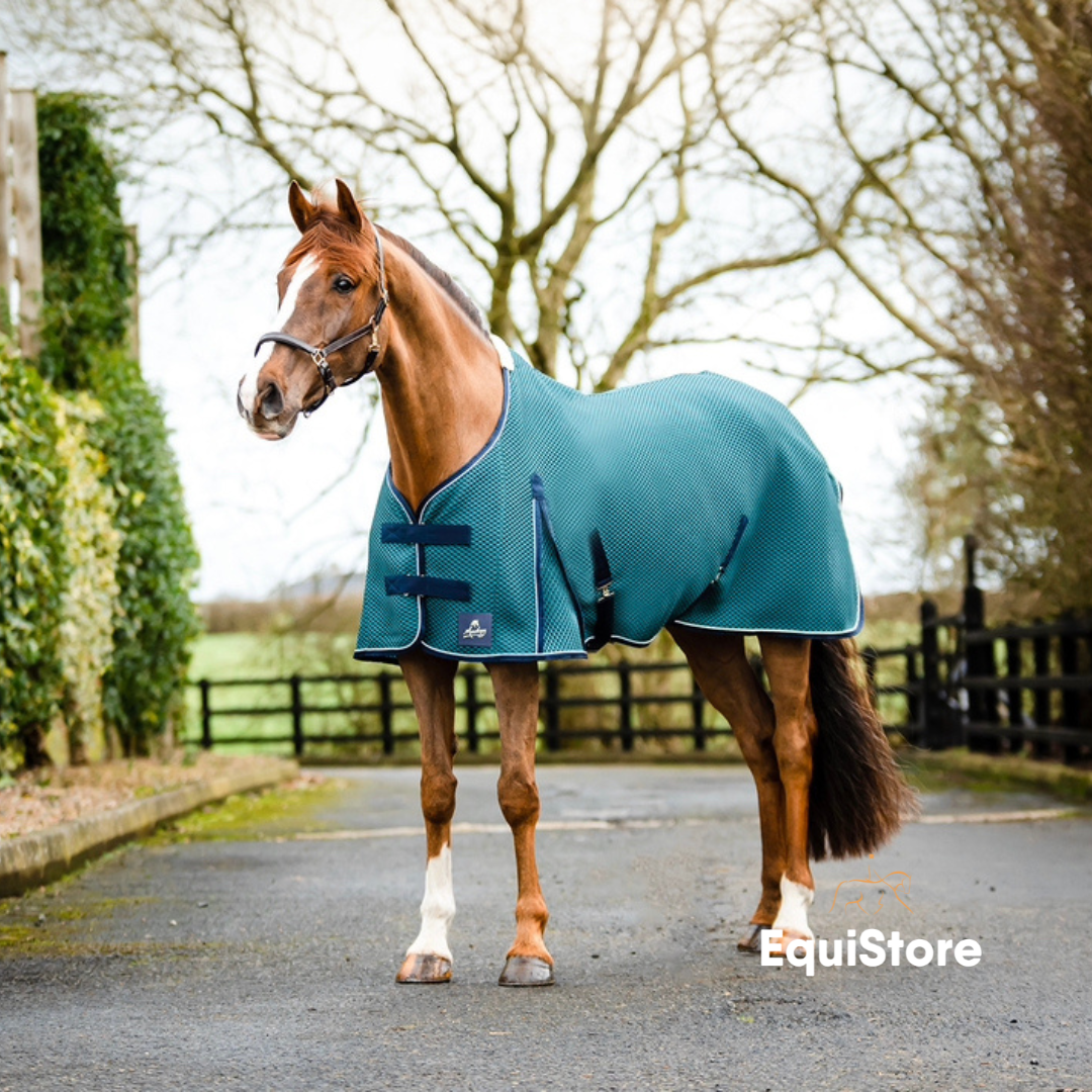 Mackey Shannon Air Cooler - Petrol. A travel and sweat rug for horses