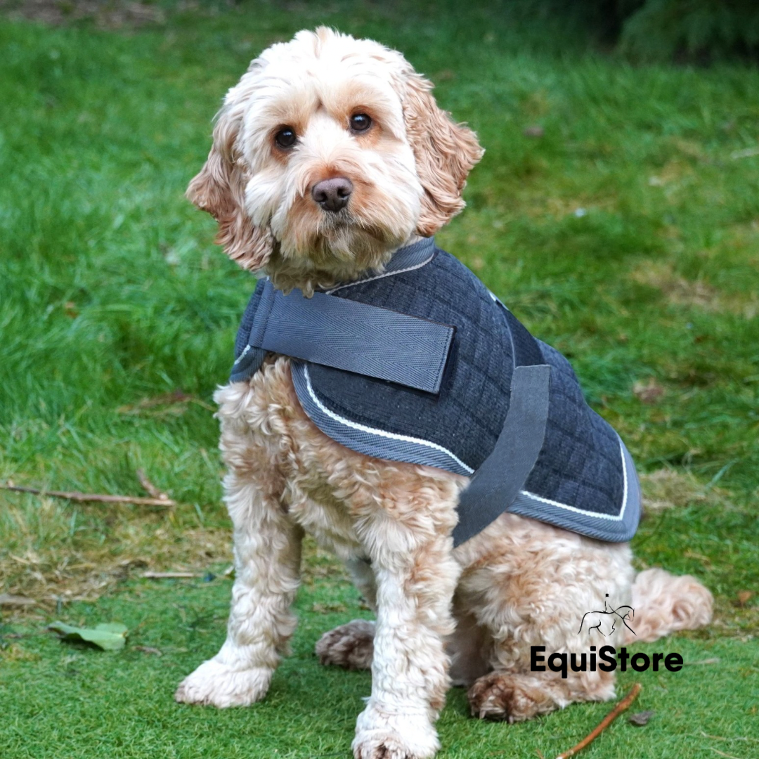 Mackey Thermo Dog Rug, warm dog coat