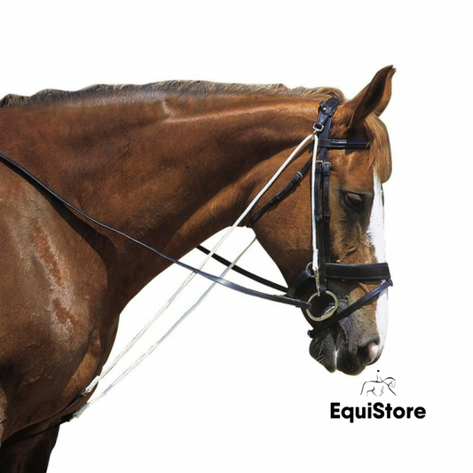 Norton Club Chambon with Pulleys a lunge aid for horses