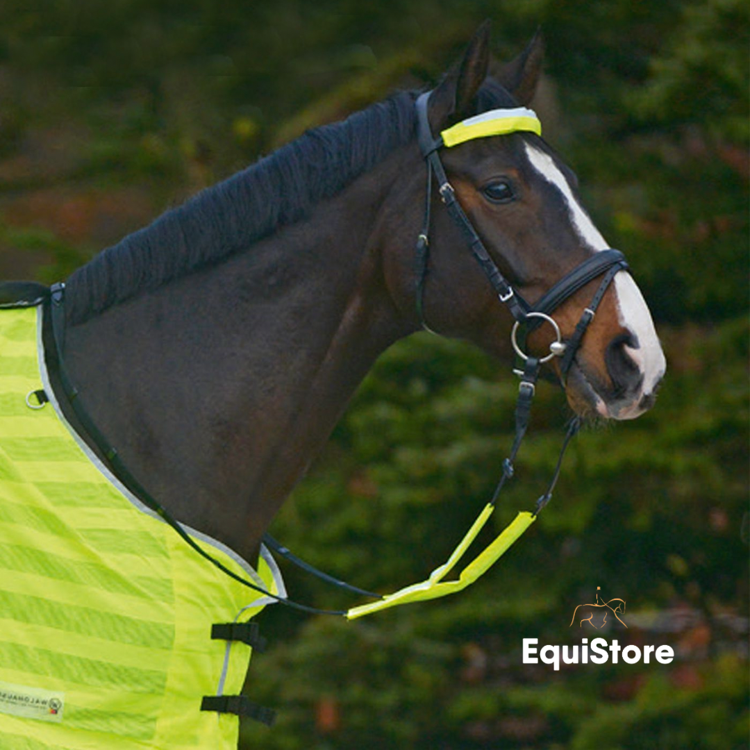 Reflex Bridle Set - Neon Yellow high-viz for horses
