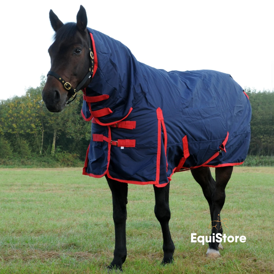 Turfmasters Arkle Middleweight Turnout Rug for horses - Full Neck