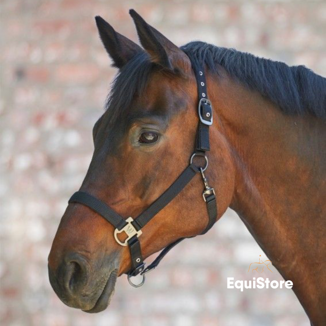 Waldhausen Gloomy Headcollar