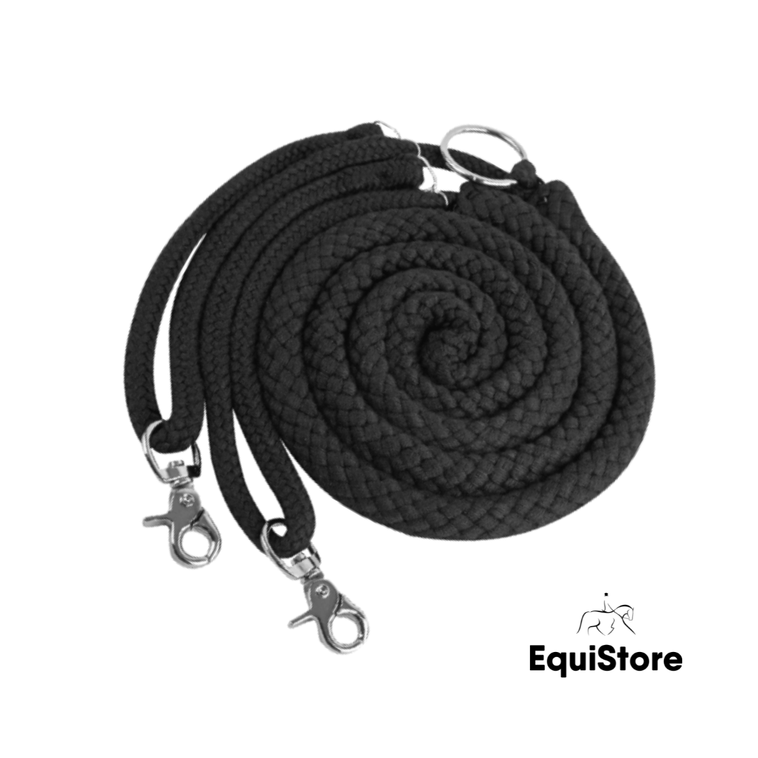 Waldhausen Lunging Aid