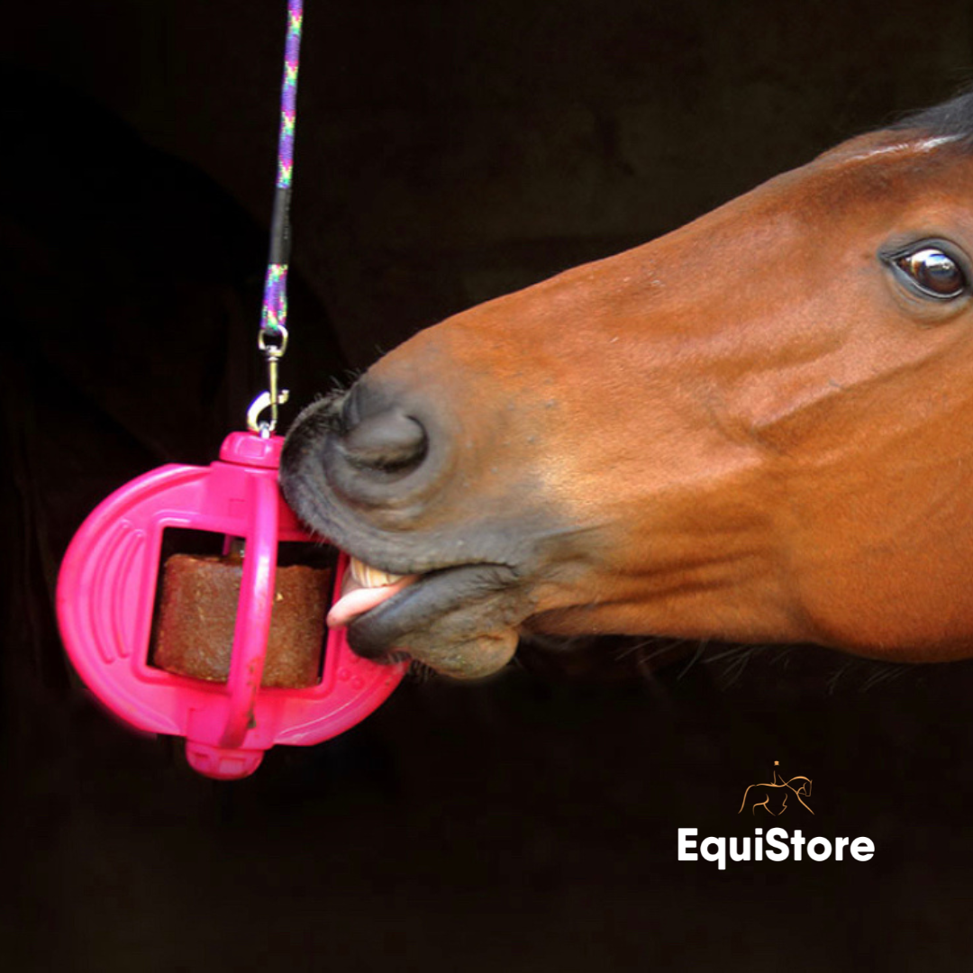 Bizzy Ball - Pink Horse Treat Toy