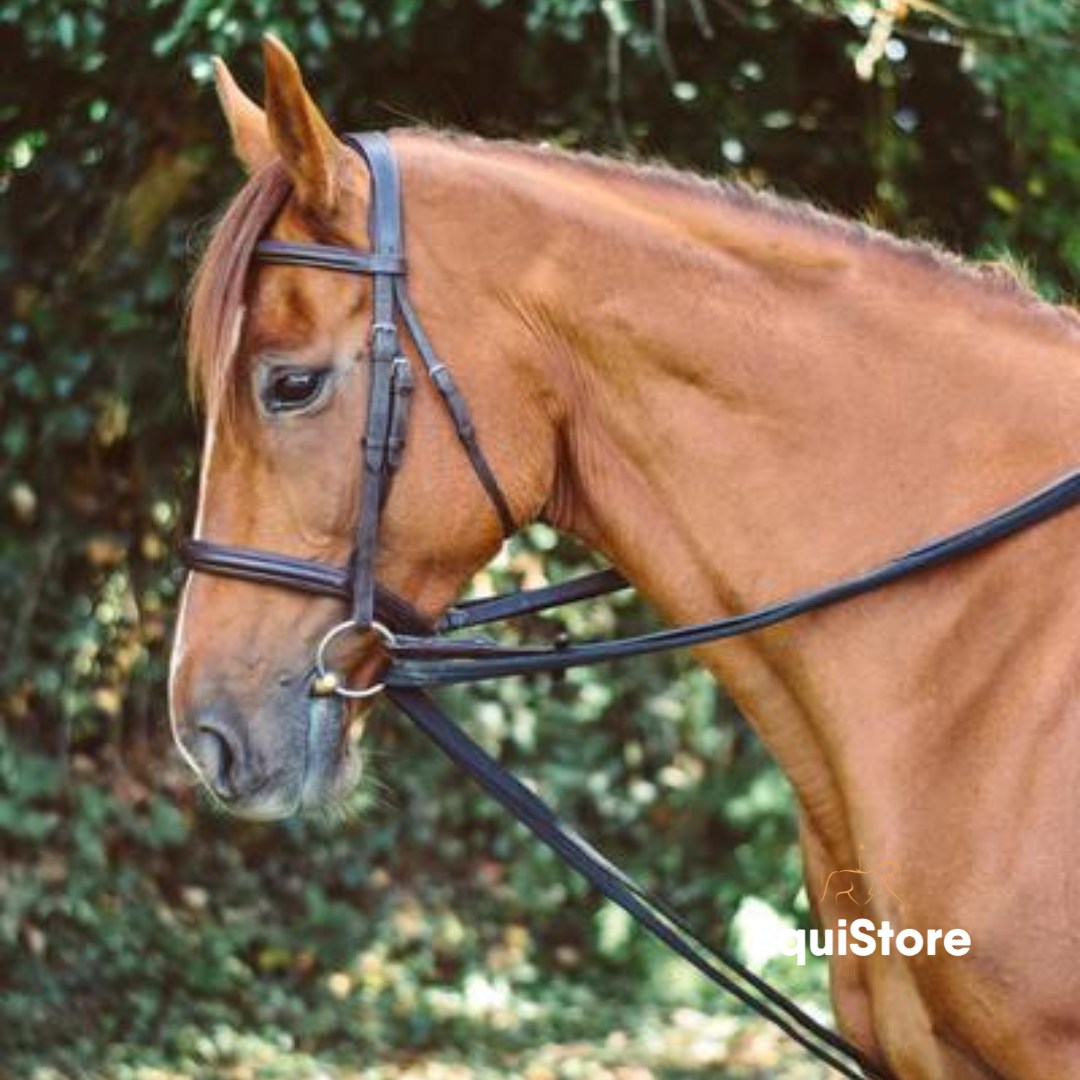 EquiSential Padded Draw Reins for horses