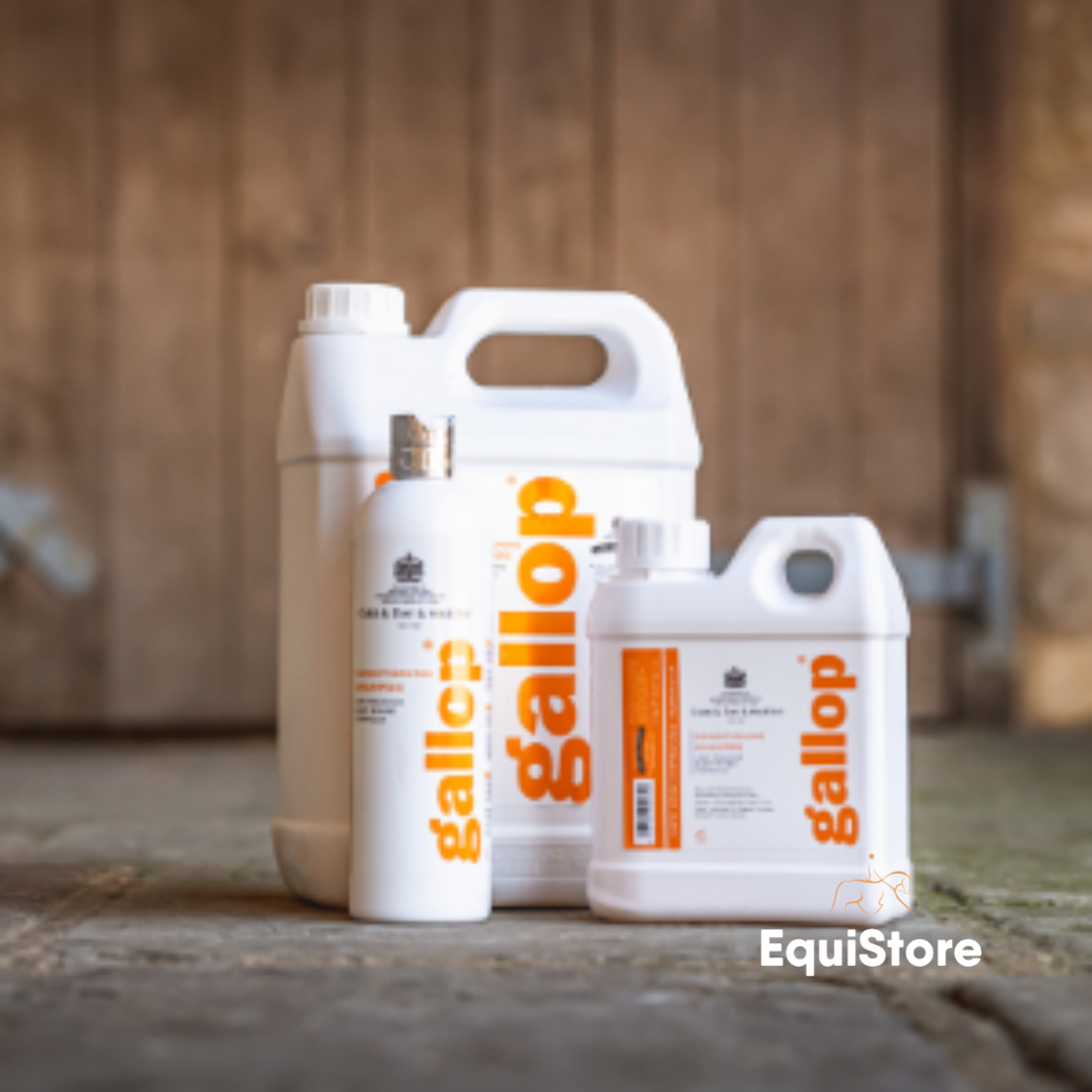Gallop Conditioning Shampoo for horses