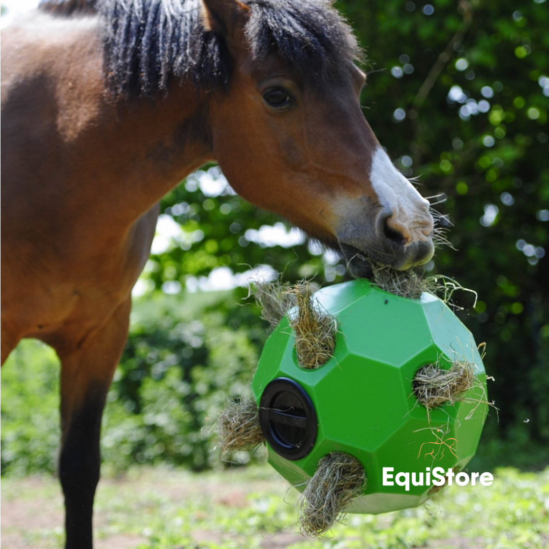 Happy Hay Play Ball for horses in green