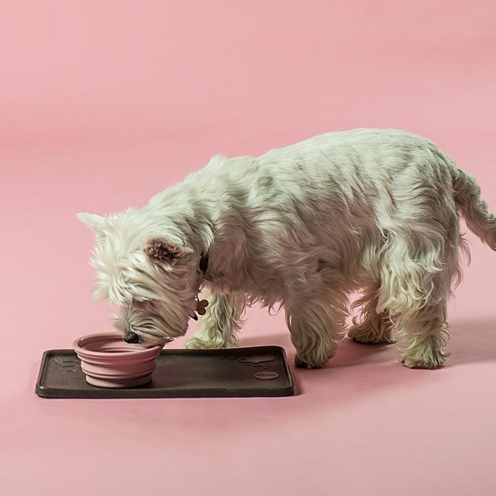 Hevea - Puppy - Bowl on the Go - Rose
