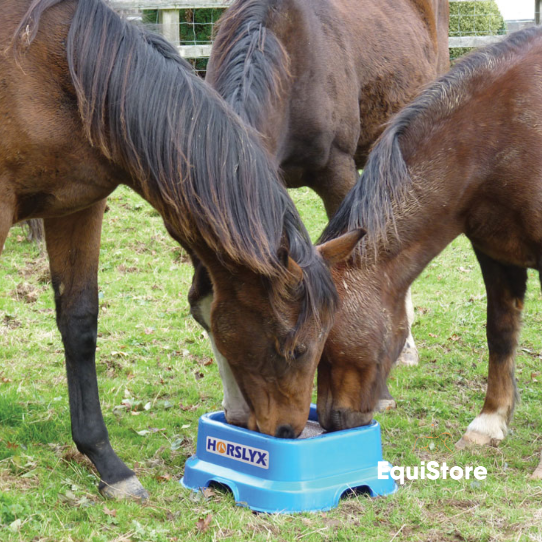 Horslyx 15kg Holder for use with horses stabled or horses living outdoor.