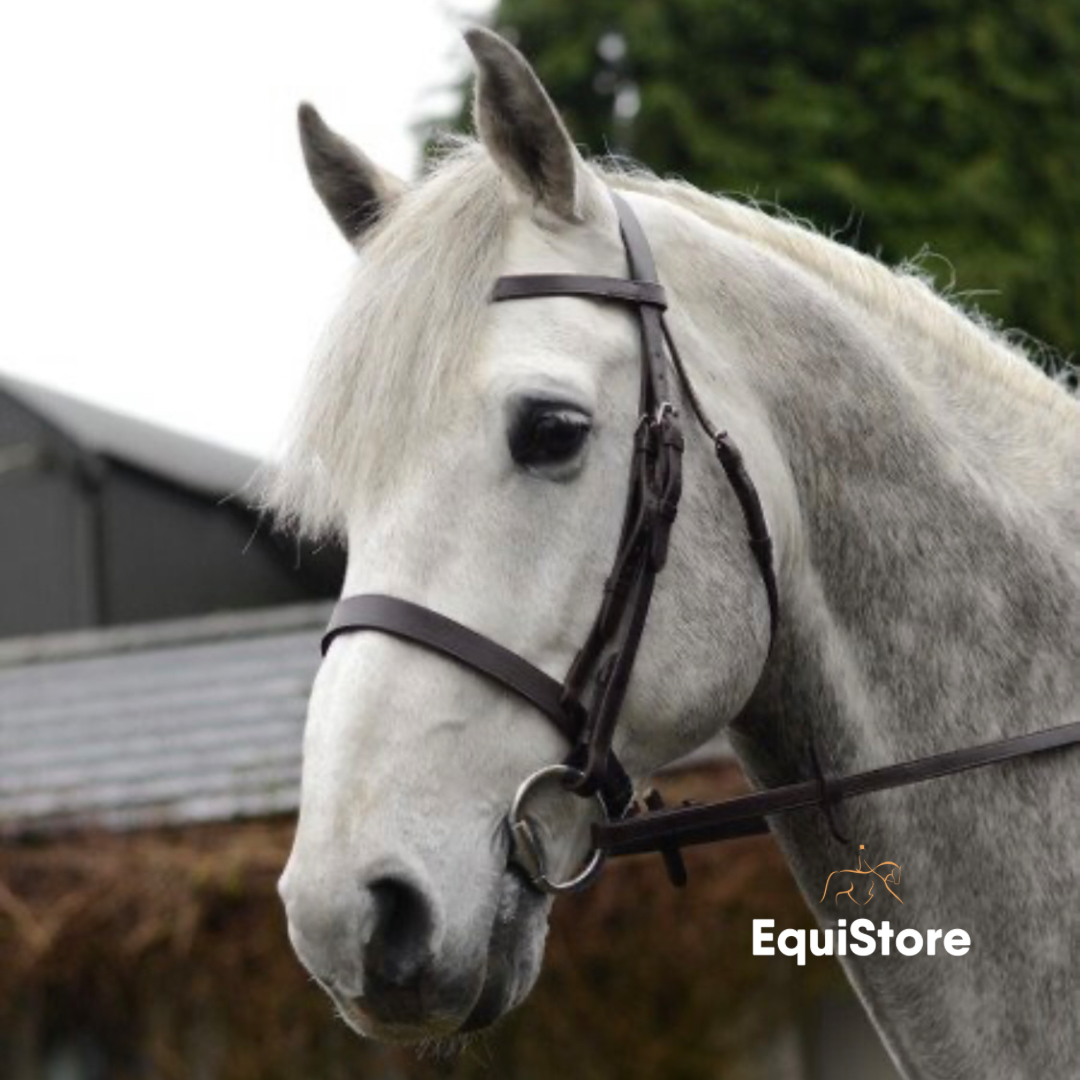 Mackey Classic Hunt Bridle