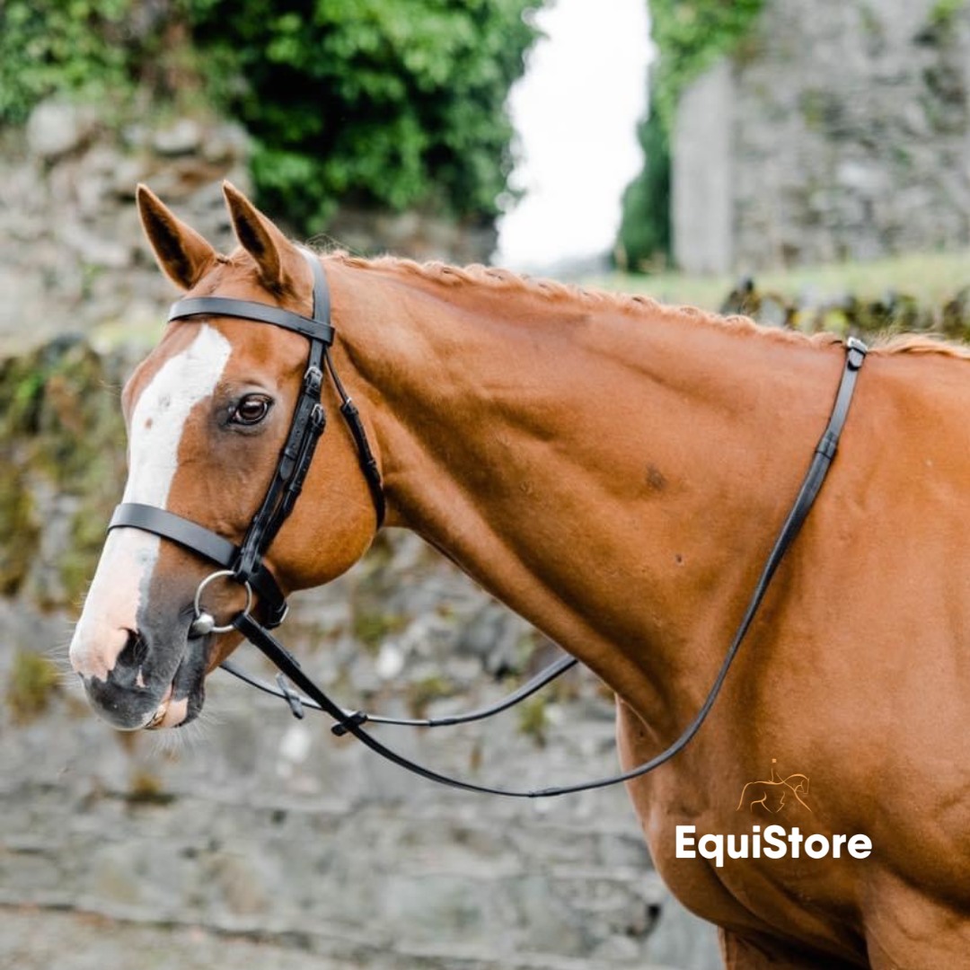 traditionally styled bridle for your horse