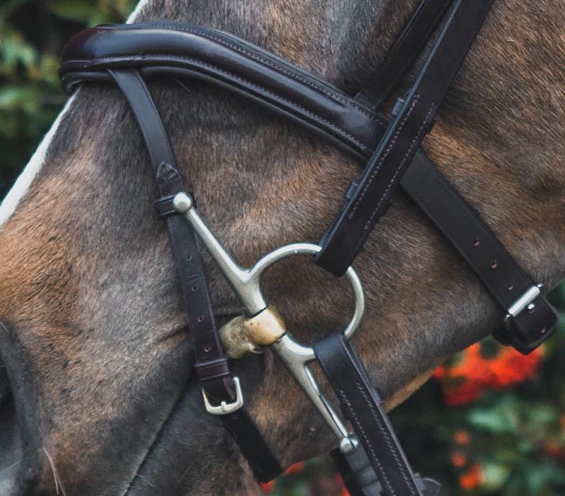 Mackey Legend Athena Anatomical Bridle and Reins