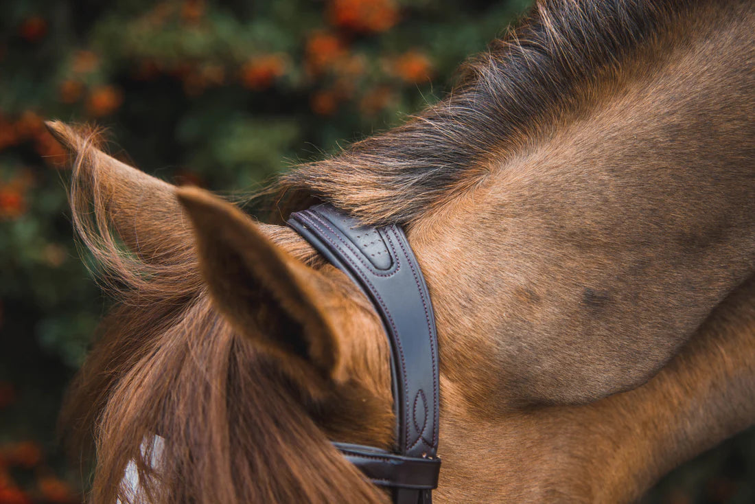 Mackey Legend Athena Anatomical Bridle and Reins