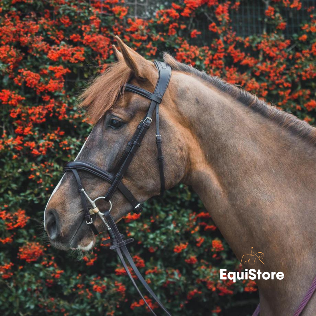 Mackey Legend Athena Anatomical Bridle a soft European leather bridle for your horse.