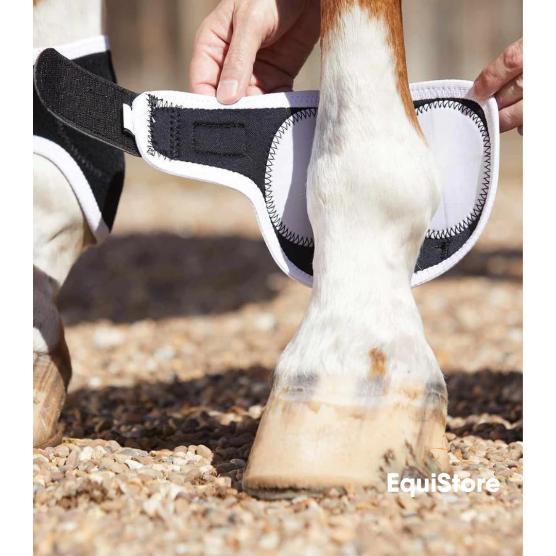 Premier Equine Magni-Teque Magnetic Fetlock Boots for magnet therapy for horses