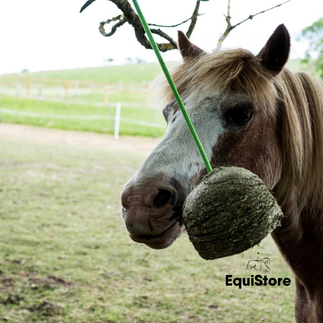 Silvermoor Swingers - Horse Treat Rope Kit