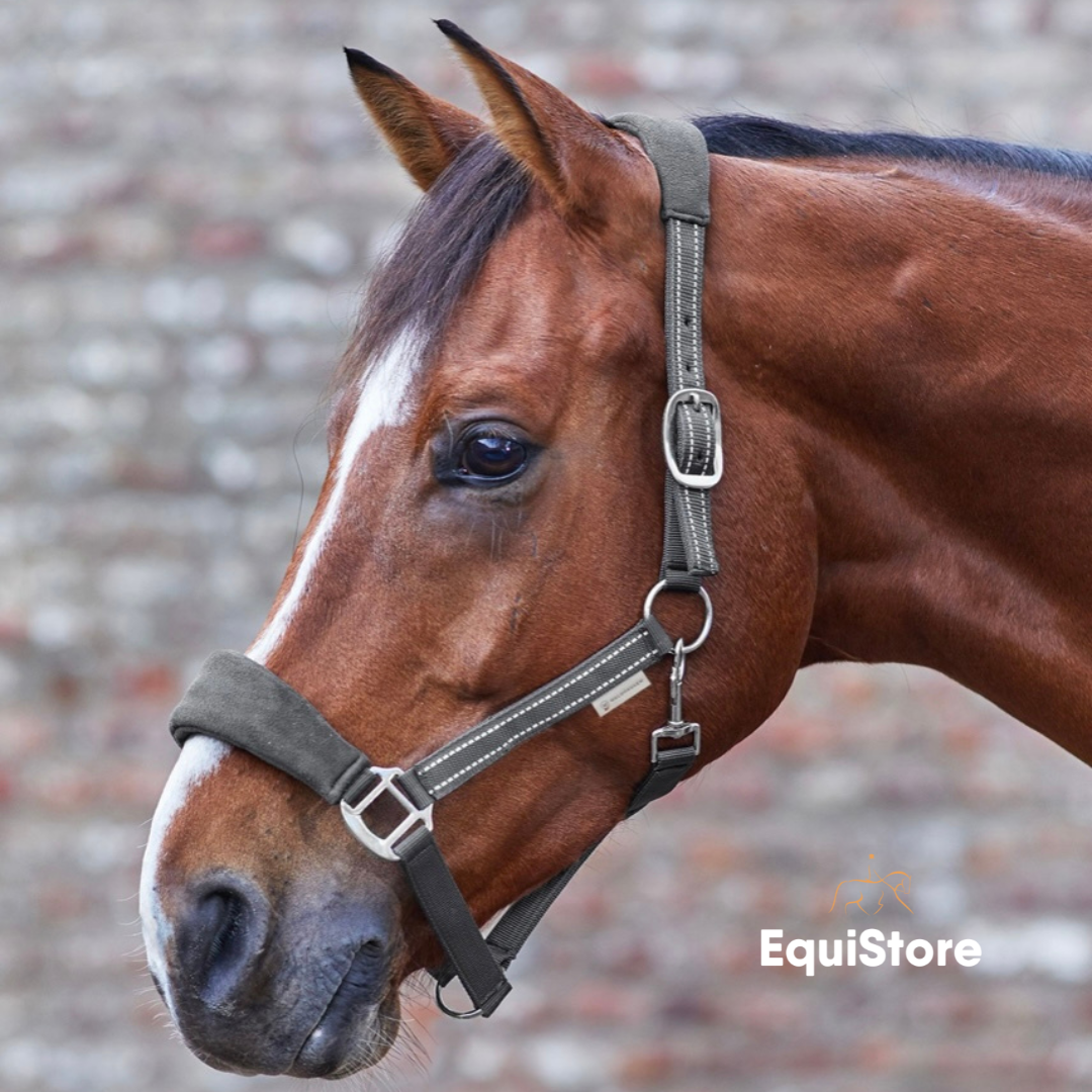 Waldhausen Alcantara Headcollar