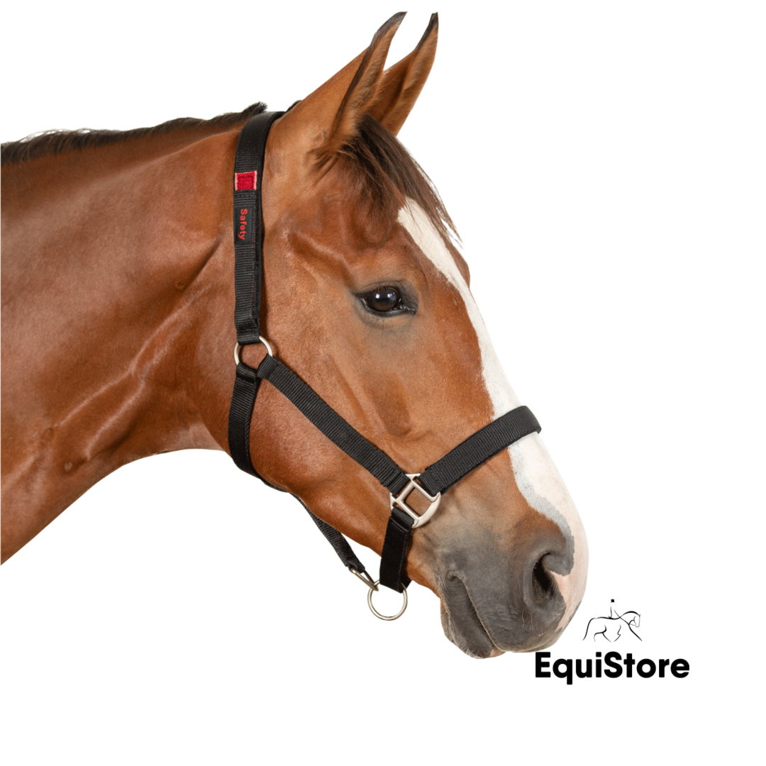 Waldhausen Safety Halter for horses