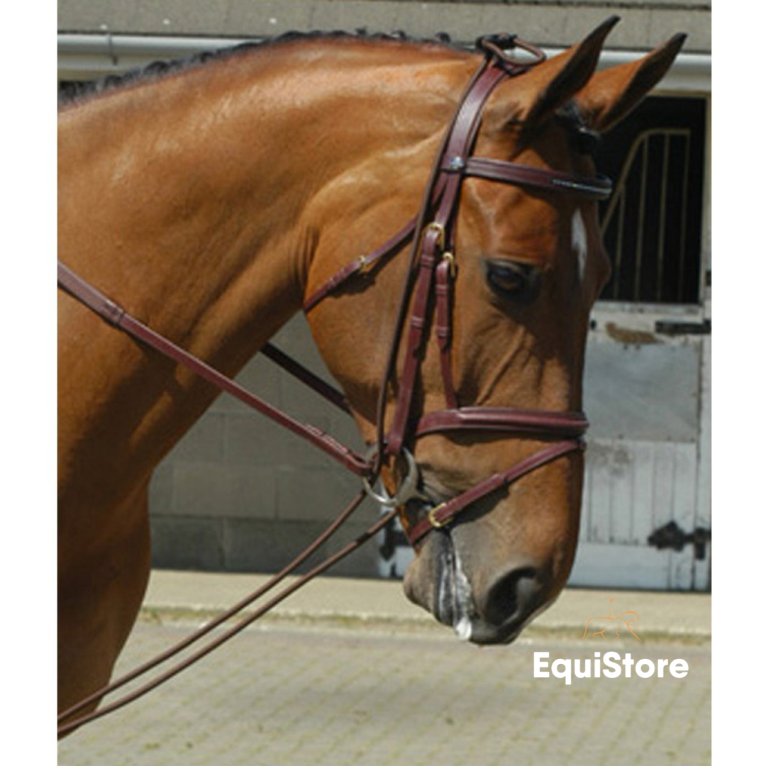 Whitaker Training Rein in brown