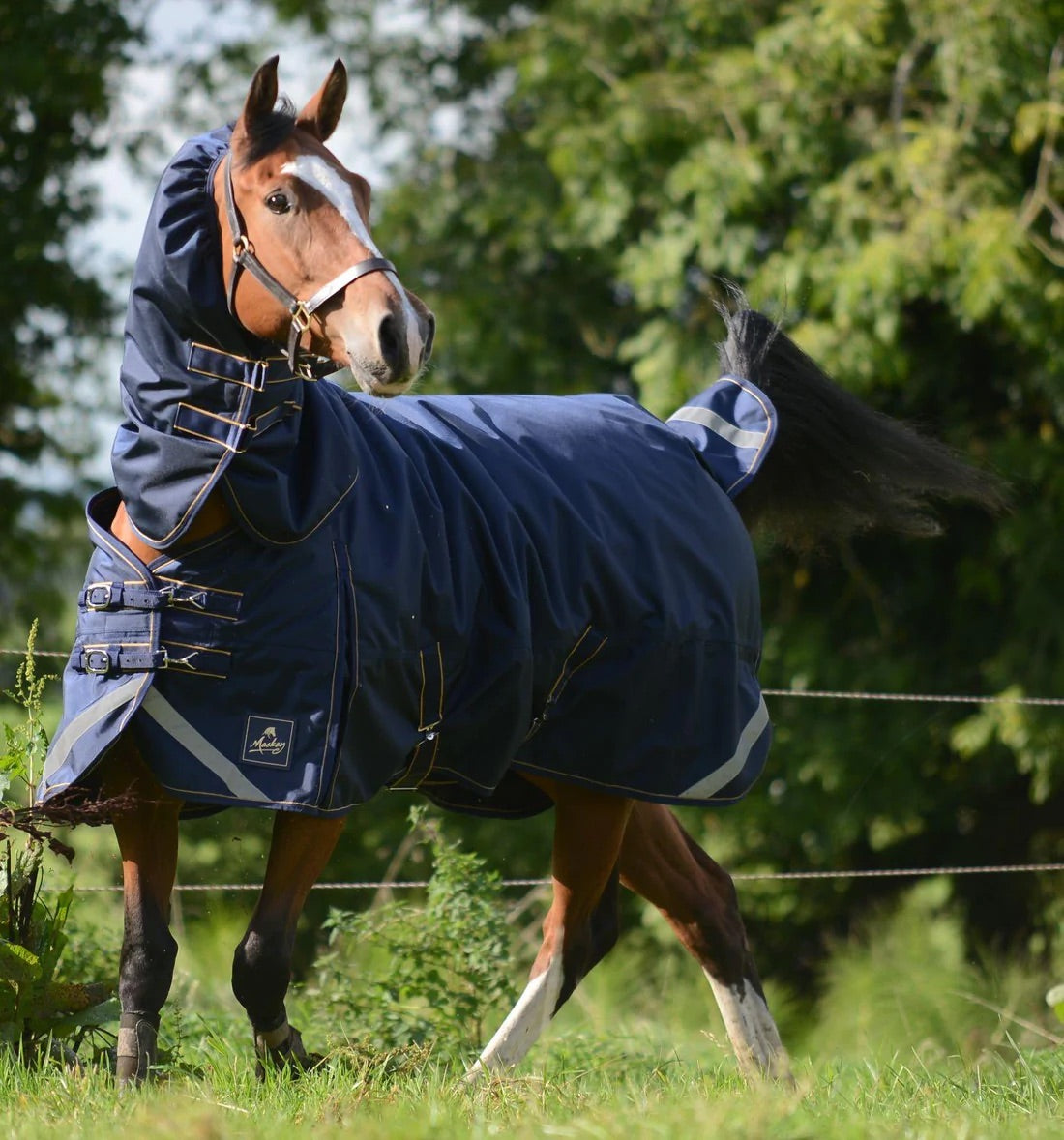 A horse outdoors wearing a waterproof turnout hood with detachable hood.