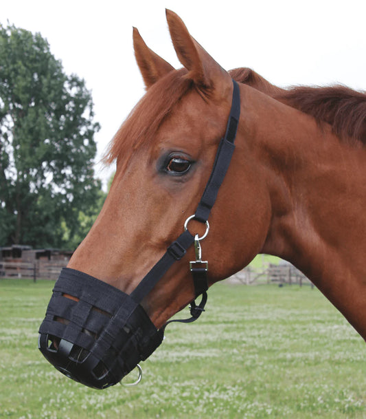 Grazing muzzles for horses and ponies 