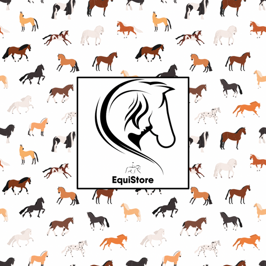 Why do I like horses? - a poem