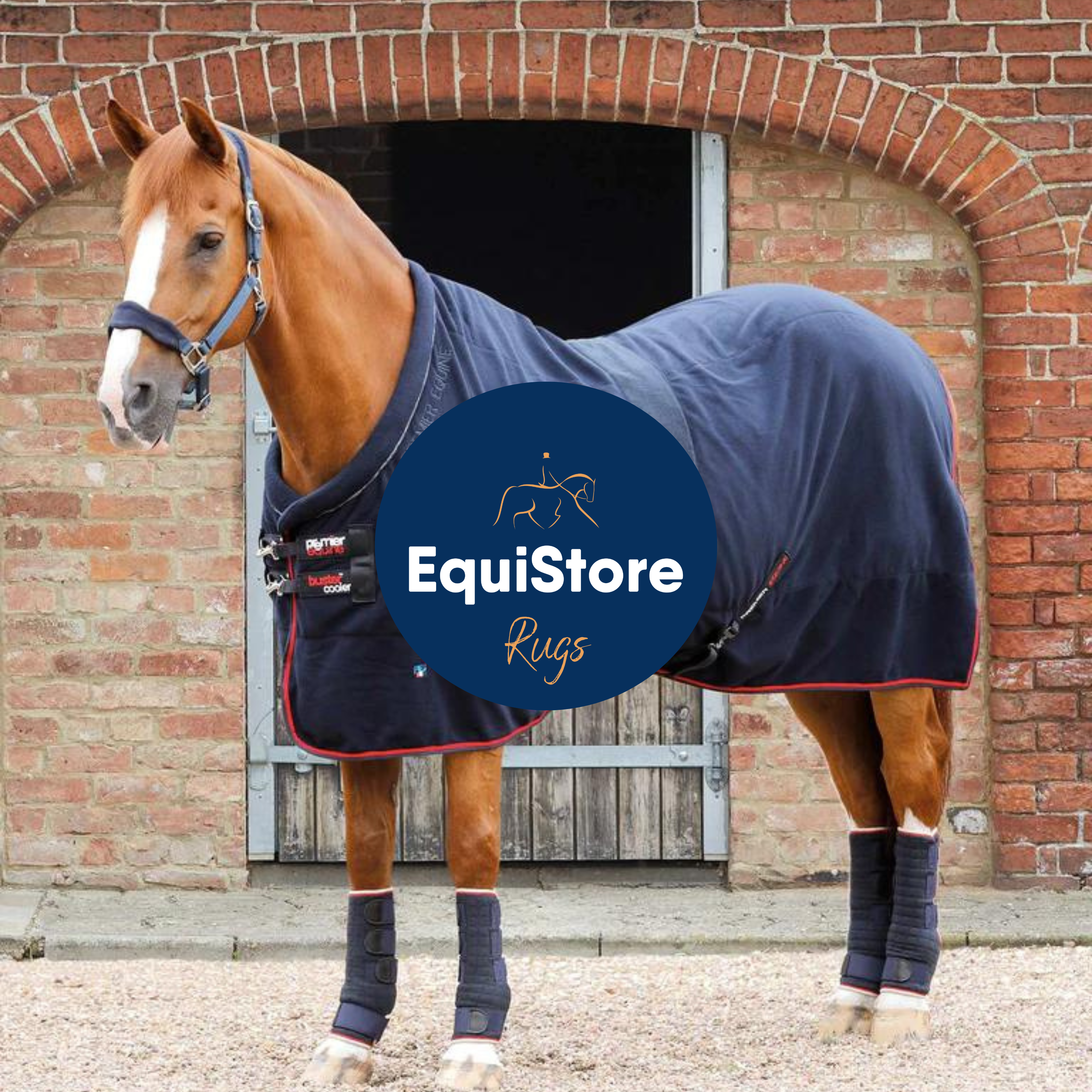 A wide range of horse rigs, including stable rugs, outdoor rugs, travel rugs and exercise sheets available in Ireland at Equistore.