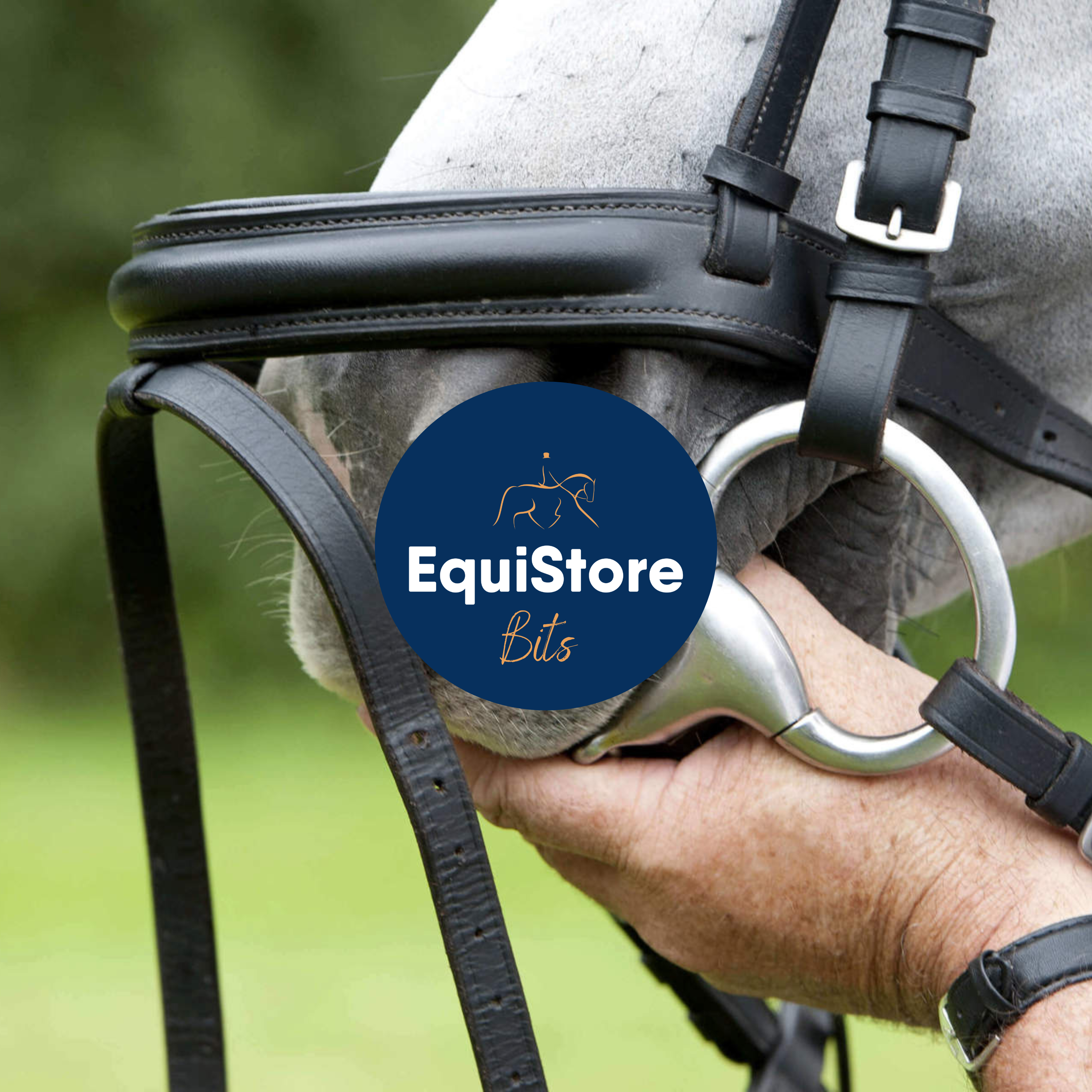 A wide range of horse bits and accessories available in Ireland at Equistore. 