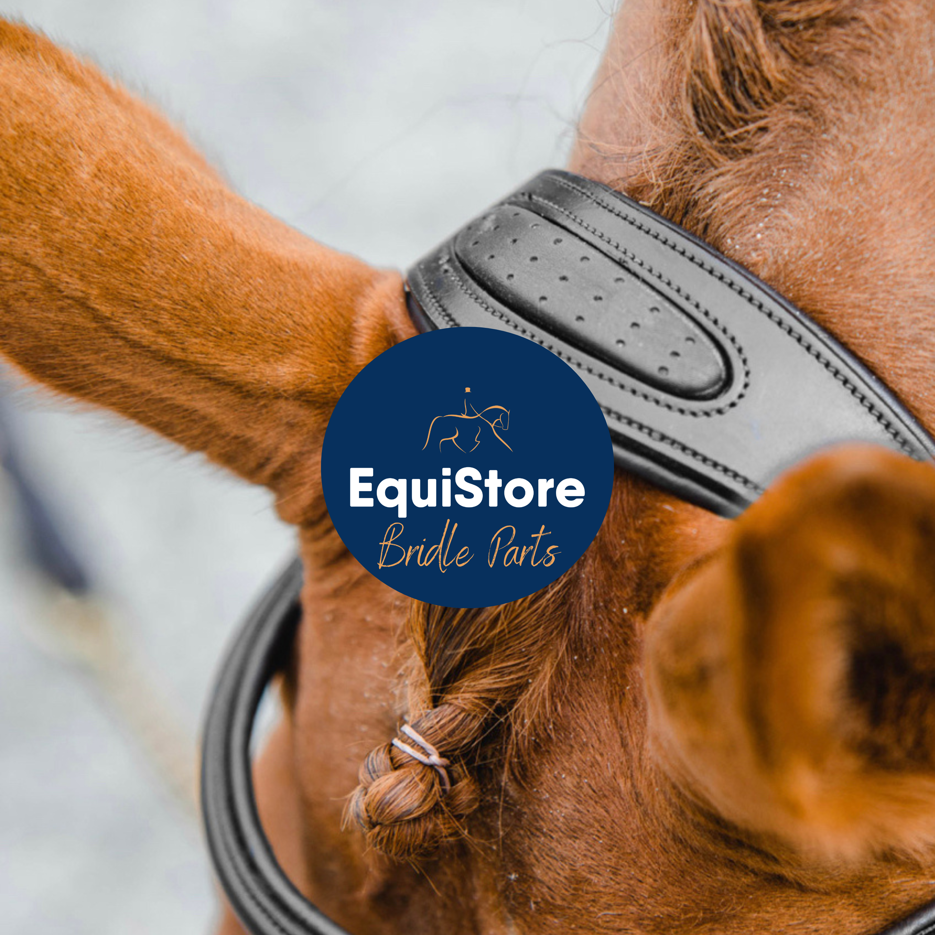 A range of bridle parts and bridle accessories for horses, available at EquiStore in Ireland.