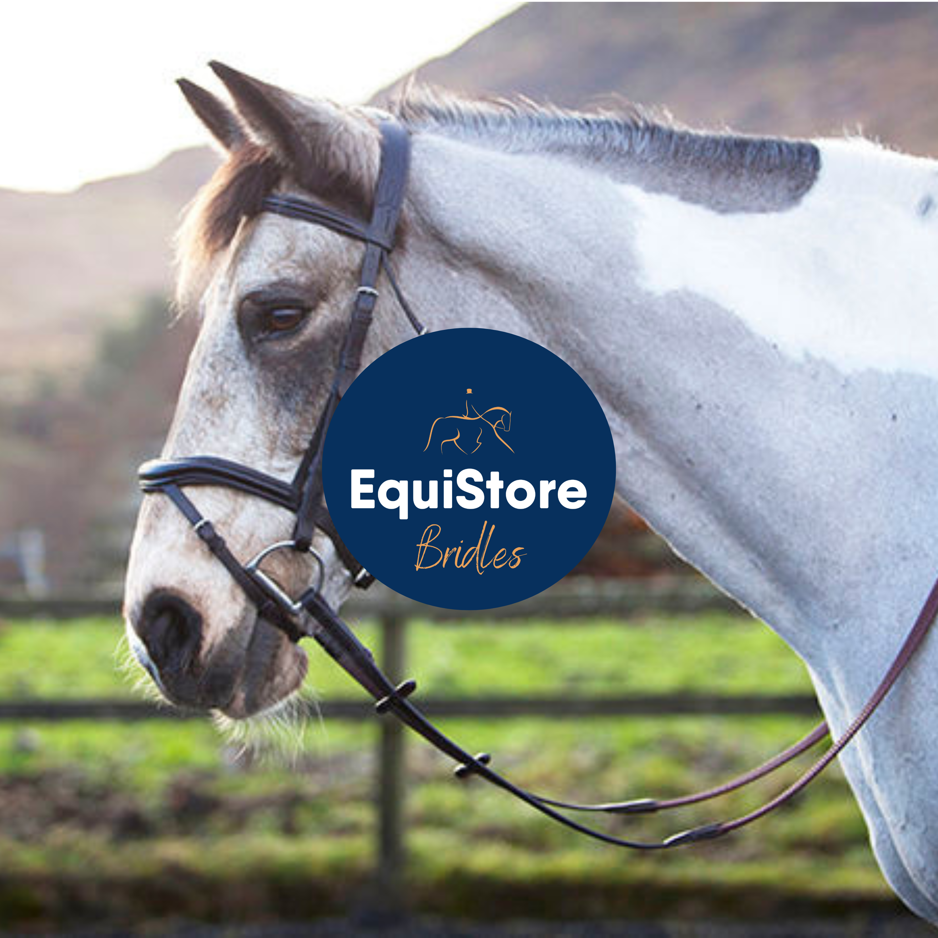 A wide range of bridles and reins available in Ireland at Equistore. 