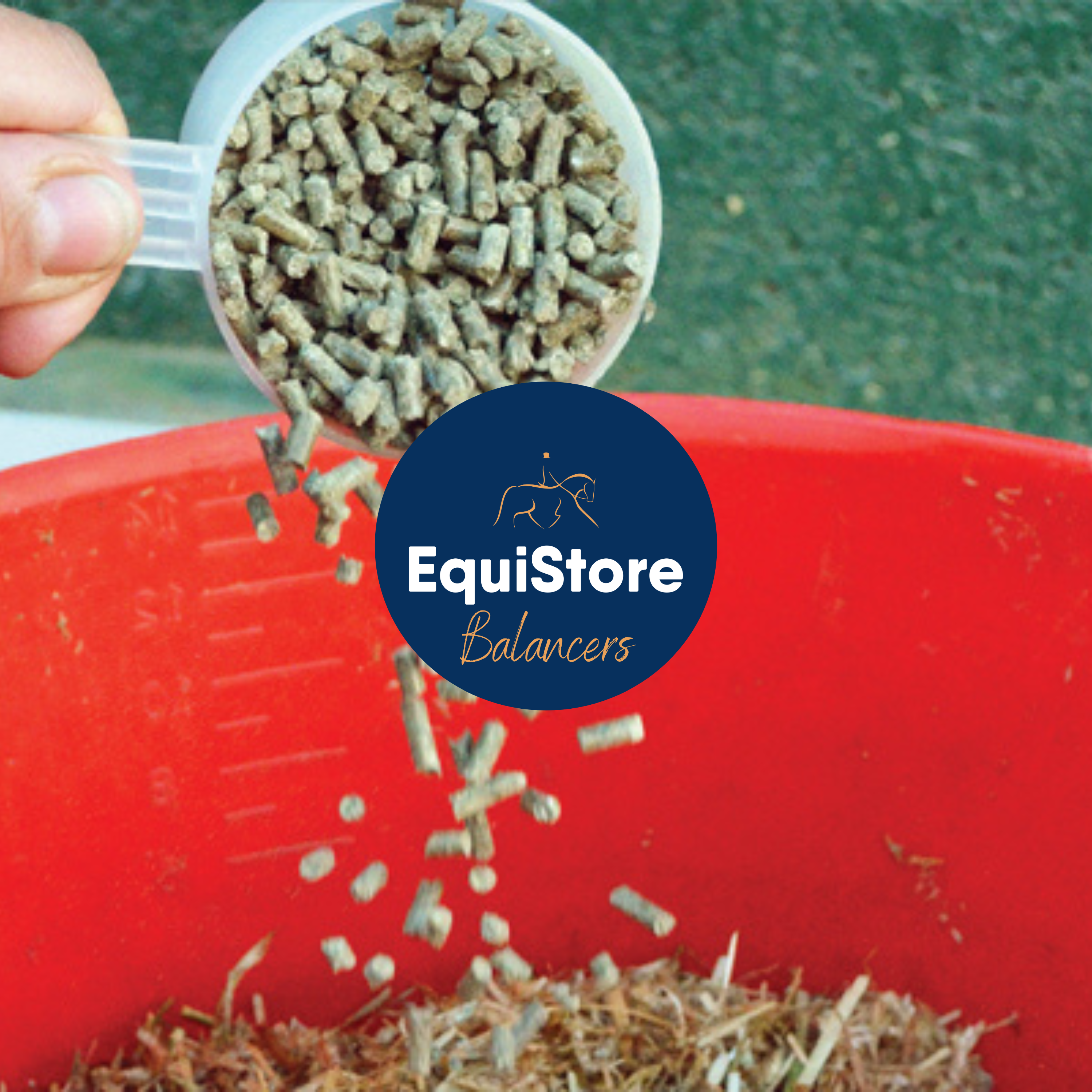 Feed balancers for horses and ponies