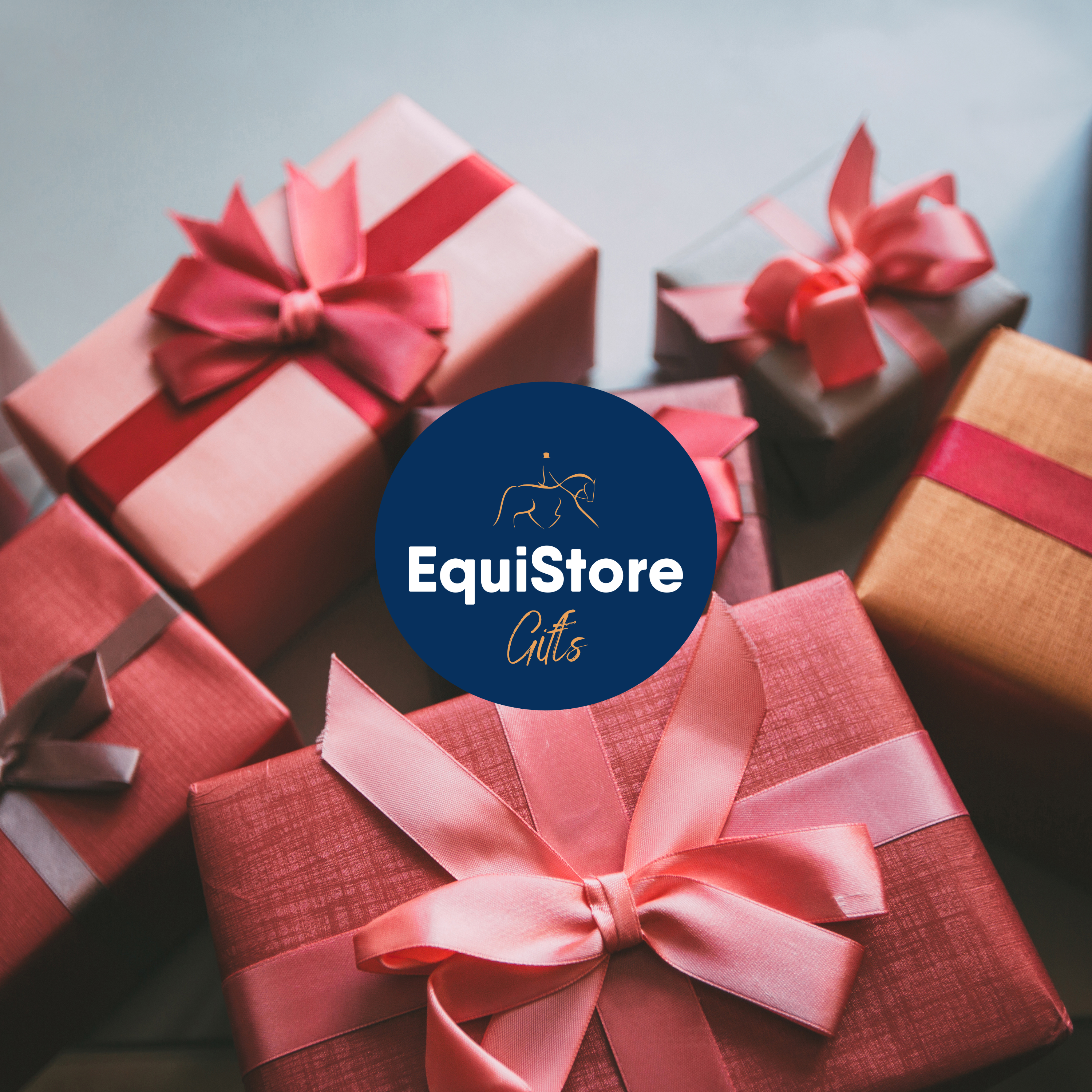 A selection of equestrian gifts and non-equestrian gifts from EquiStore