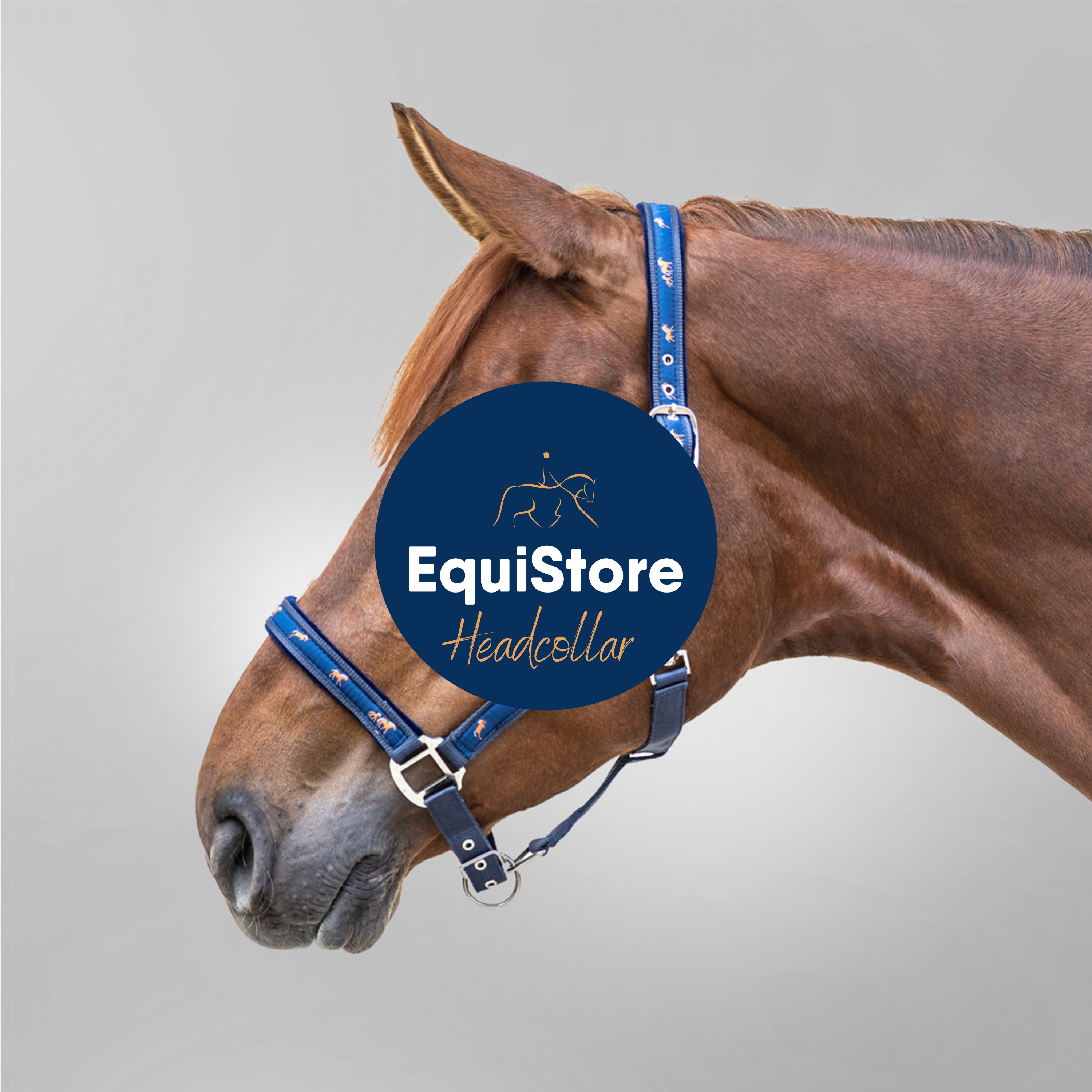 A selection of good quality headcollars and lead ropes for horses and ponies, available in Ireland at Equistore. 