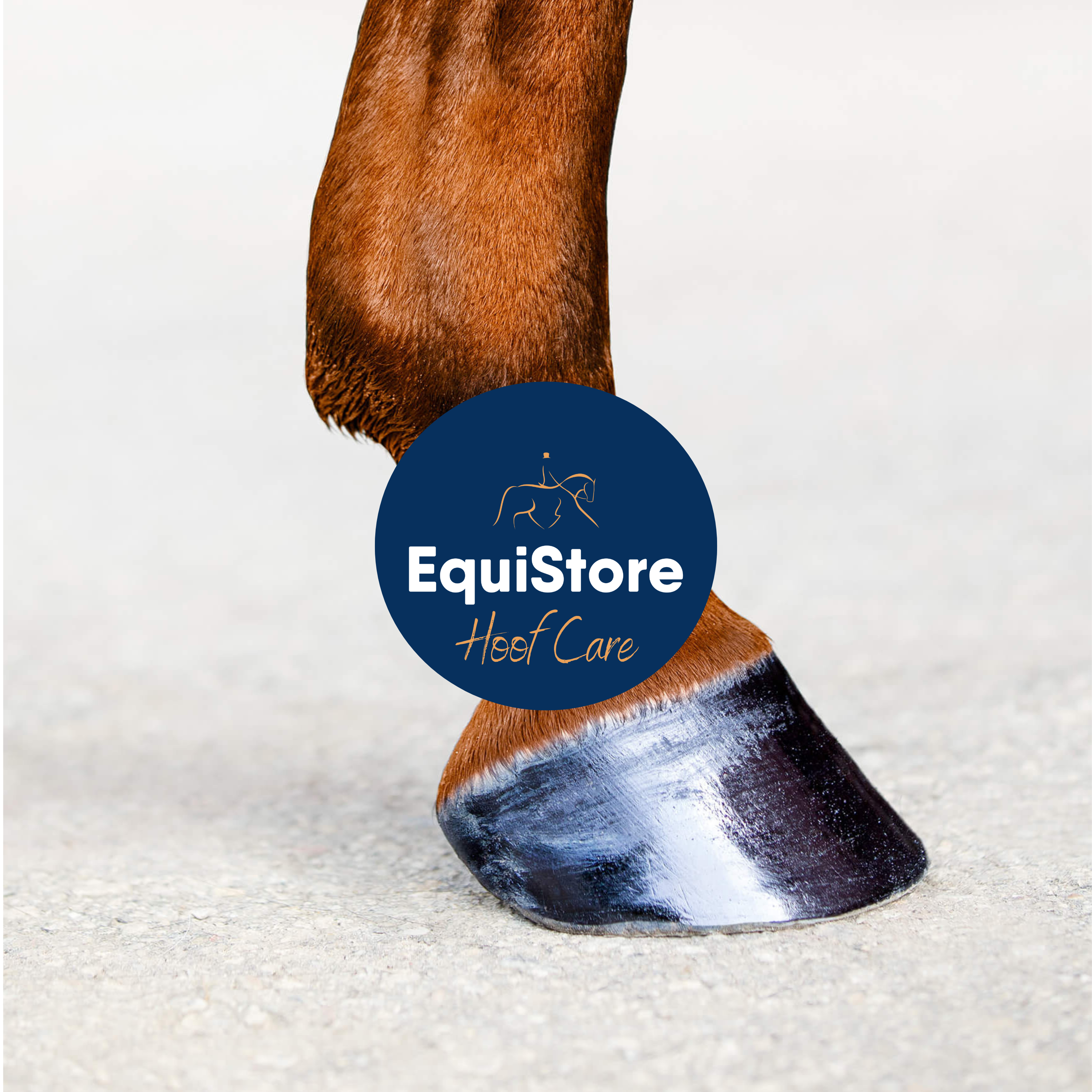 A large selection of hoof care products and aids for optimal hoof health in your horse, available in Ireland at Equistore. 