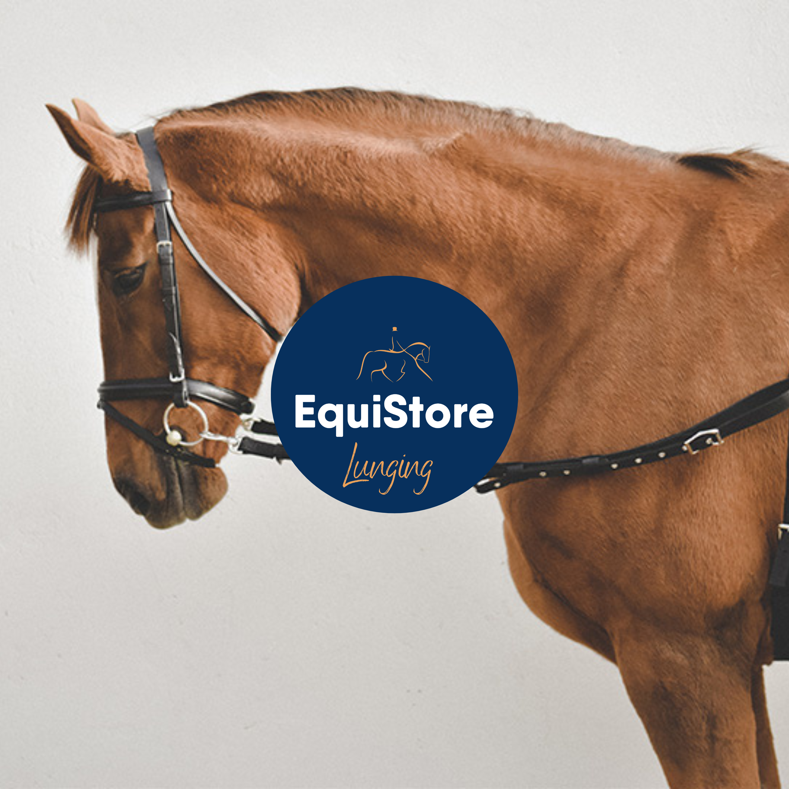 Lunging equipment for horses, available in Ireland at EquiStore