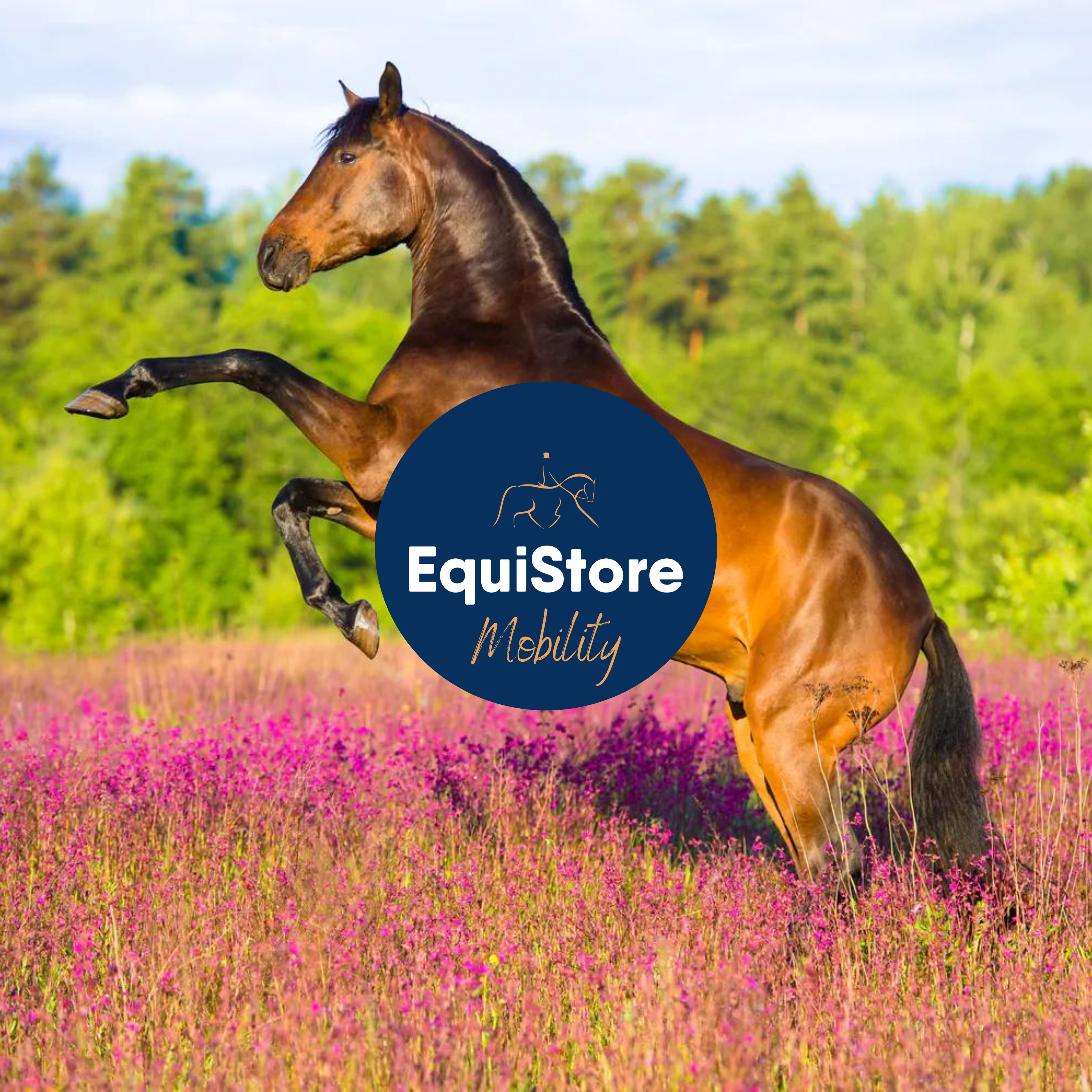 A range of horse supplements aimed at improving and maintaining mobility, available at EquiStore in Ireland.