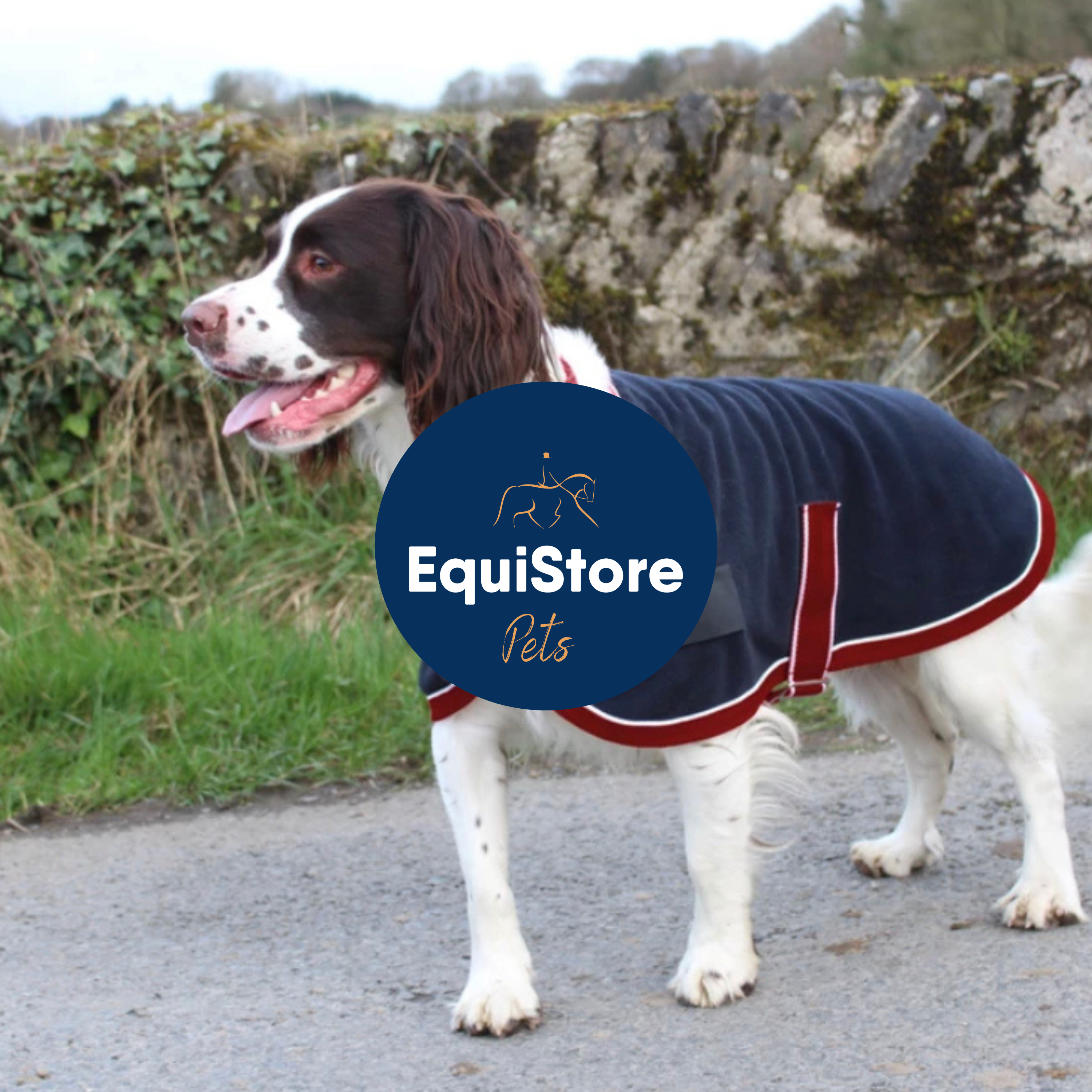 A great selection of dog rugs, dog coats,. dog toys and more, available in Ireland from Equistore. 