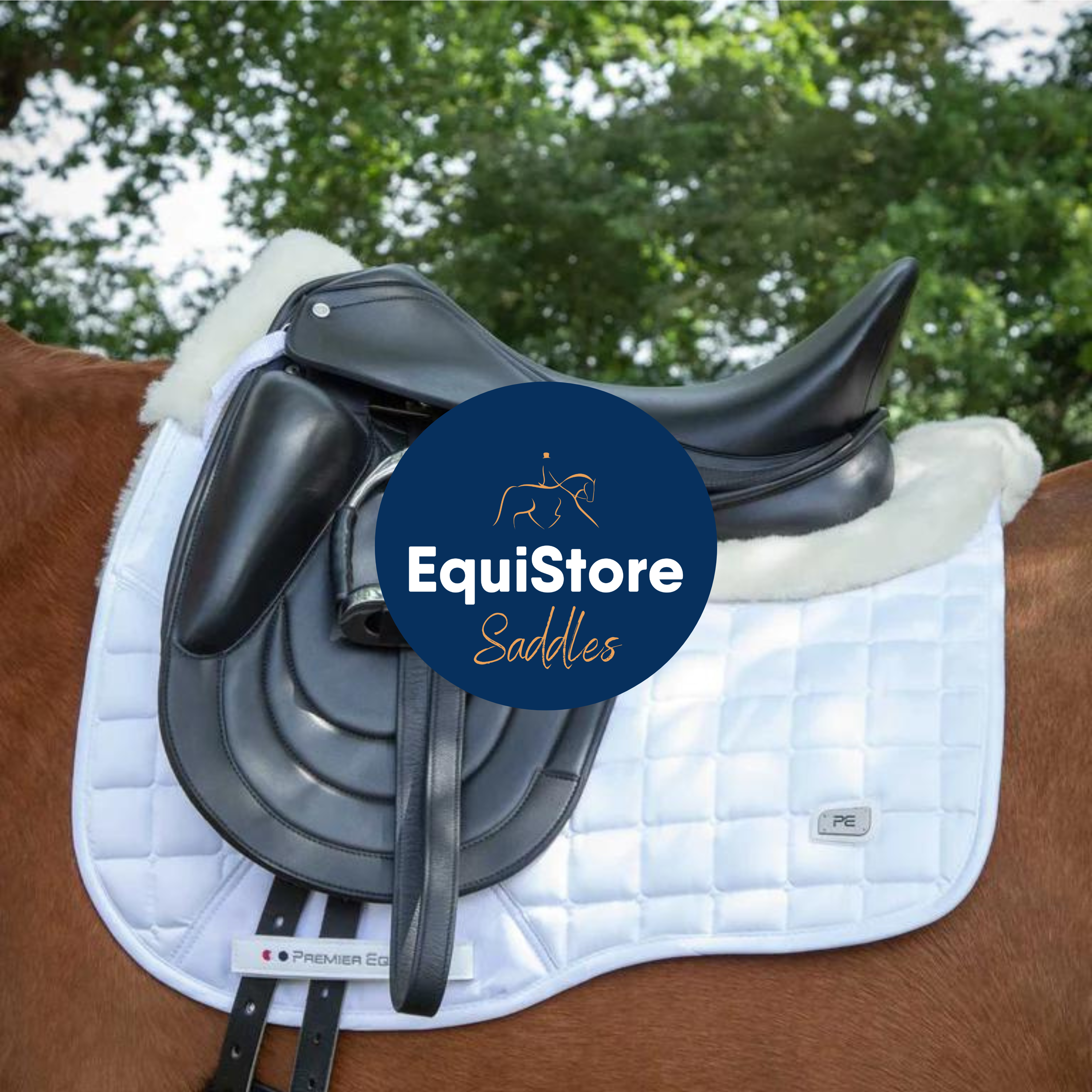 A selection of dressage, jumping and general purpose saddles available from EquiStore