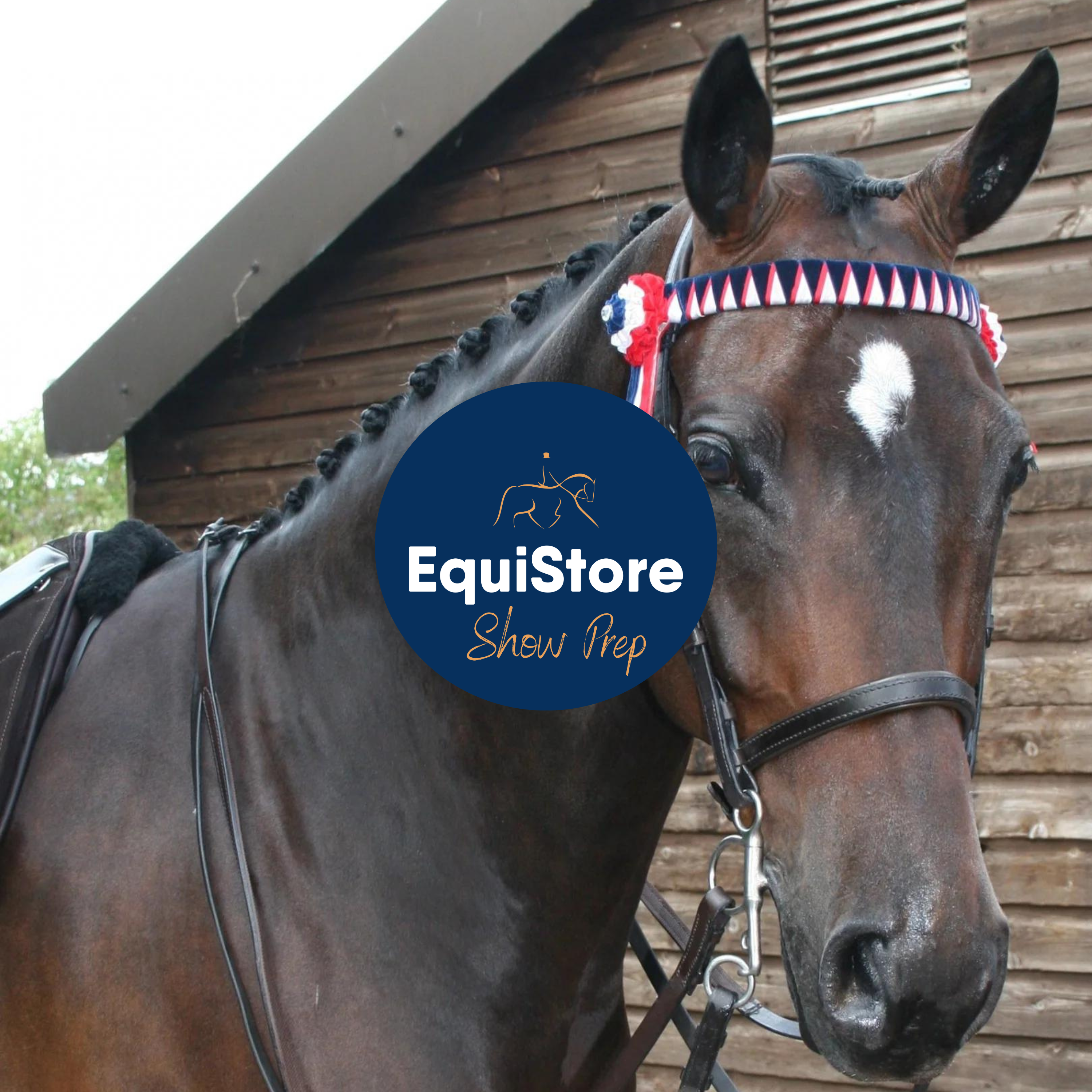 Show preparation of horses and ponies for the ultimate turnout