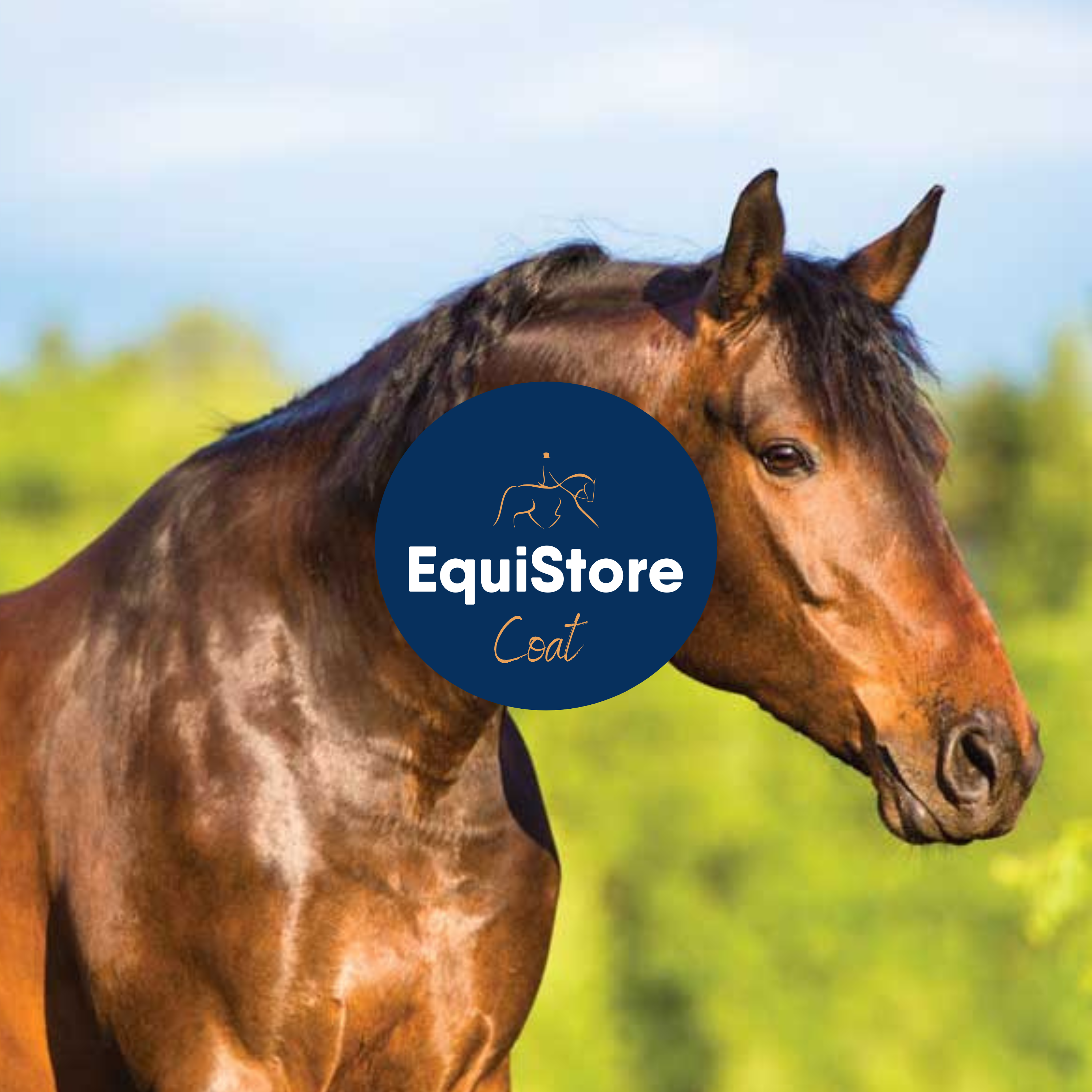 A great range of skin care products and treatments for your horse, to ensure optimal skin and coat condition. Available in Ireland from Equistore.  