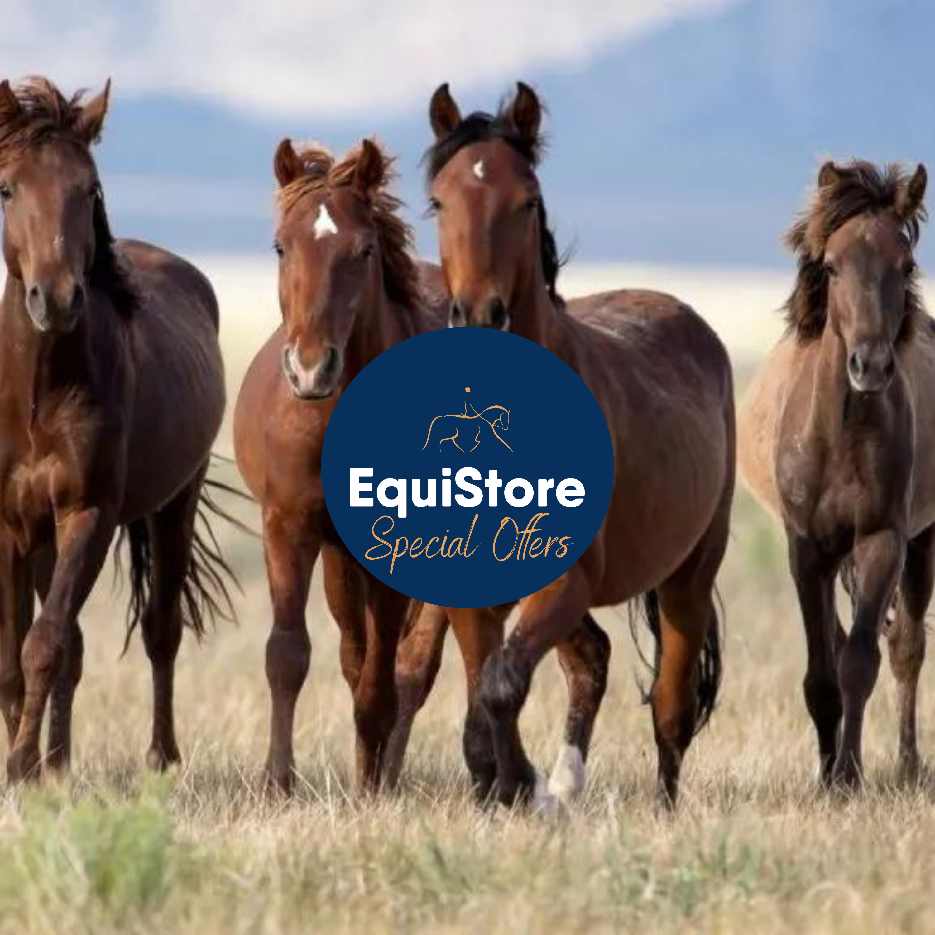 A range of equestrian goods at sale price and special offers