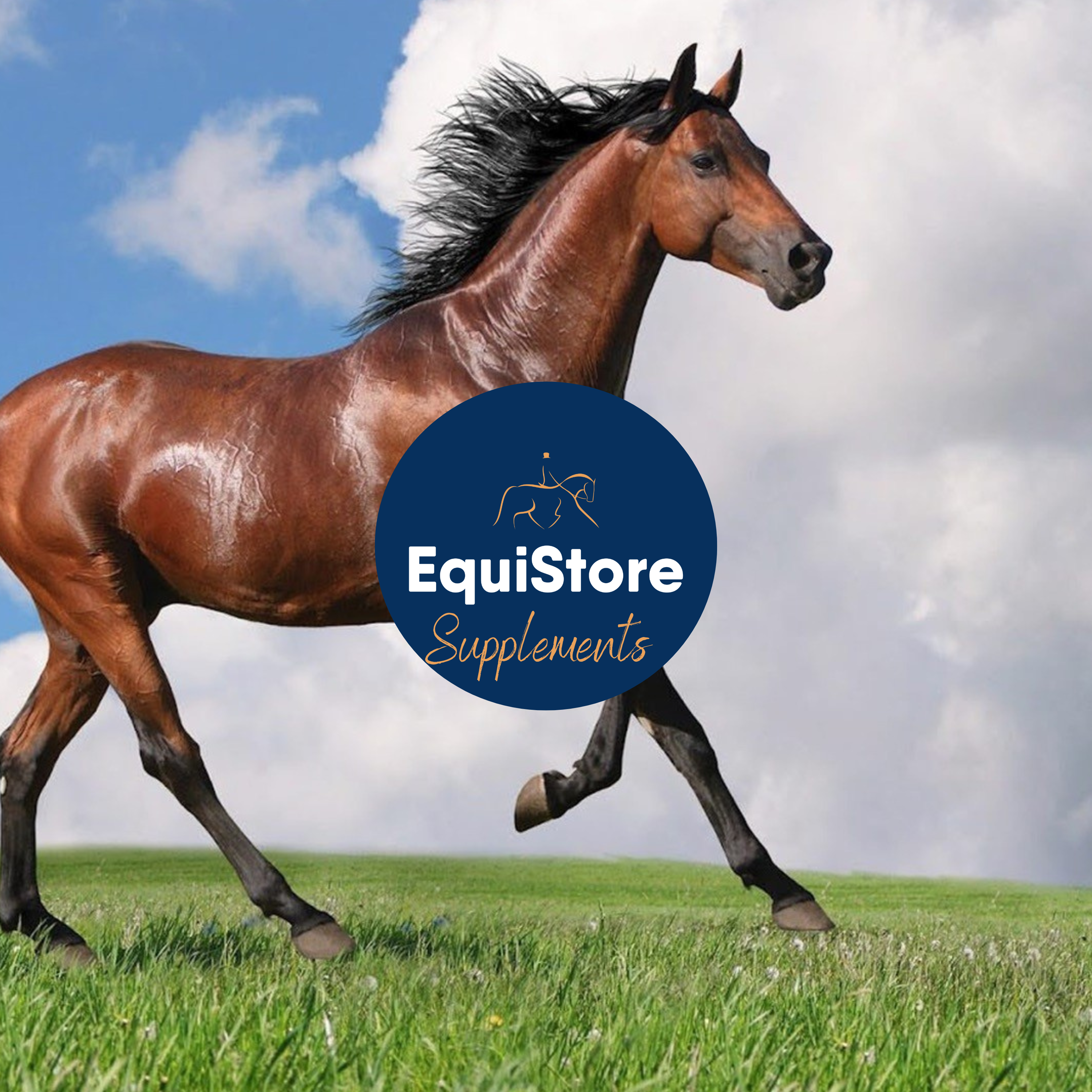 A wide selection of horse supplements and feed oils to help keep your horse or pony in optimal health. Available in Ireland from Equistore. 